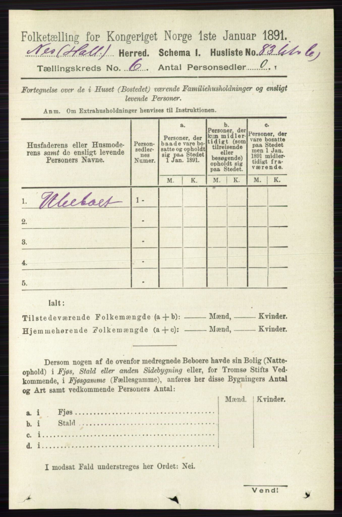 RA, 1891 census for 0616 Nes, 1891, p. 3038