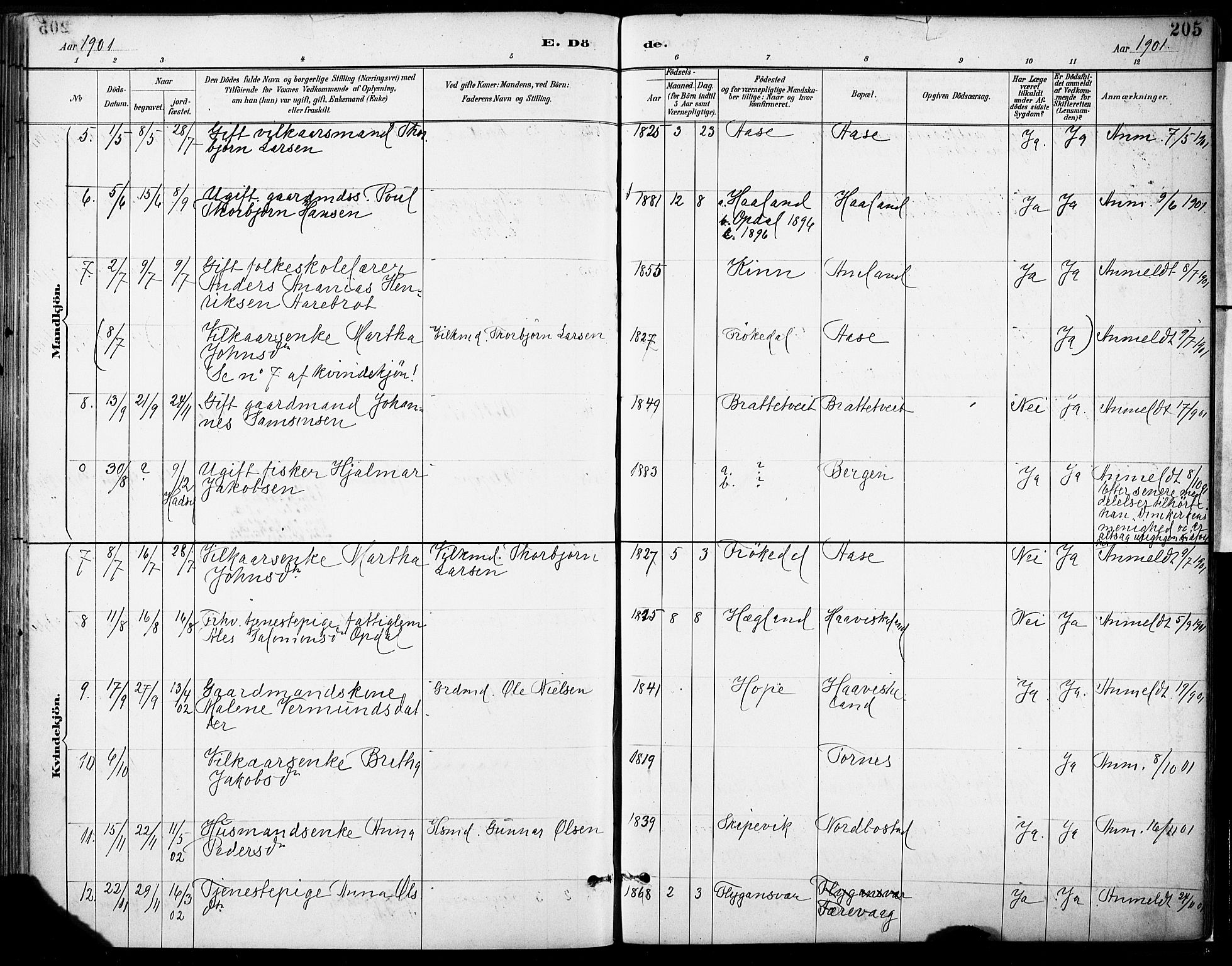 Tysnes sokneprestembete, AV/SAB-A-78601/H/Haa: Parish register (official) no. D 1, 1887-1904, p. 205