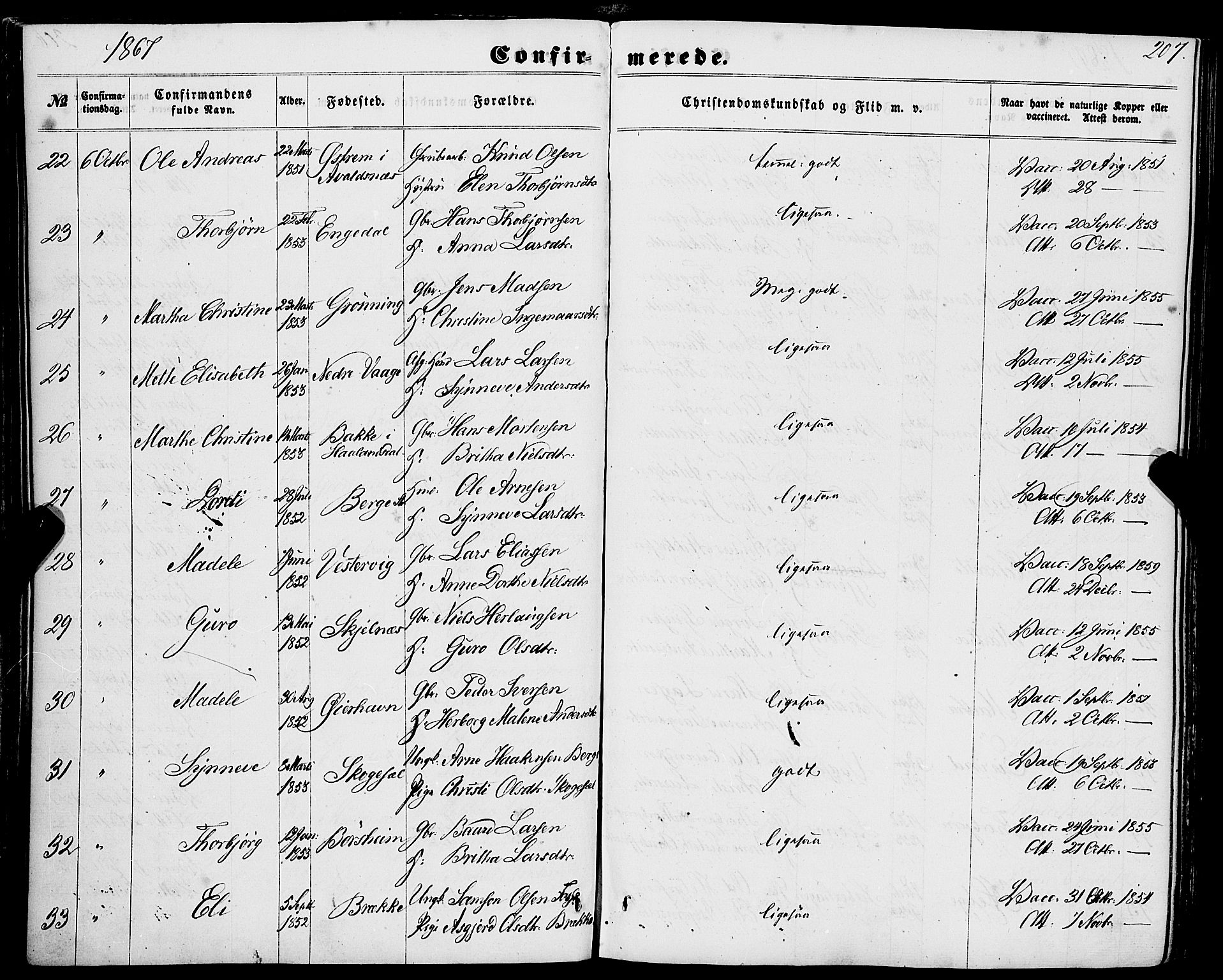 Strandebarm sokneprestembete, AV/SAB-A-78401/H/Haa: Parish register (official) no. A 8, 1858-1872, p. 207