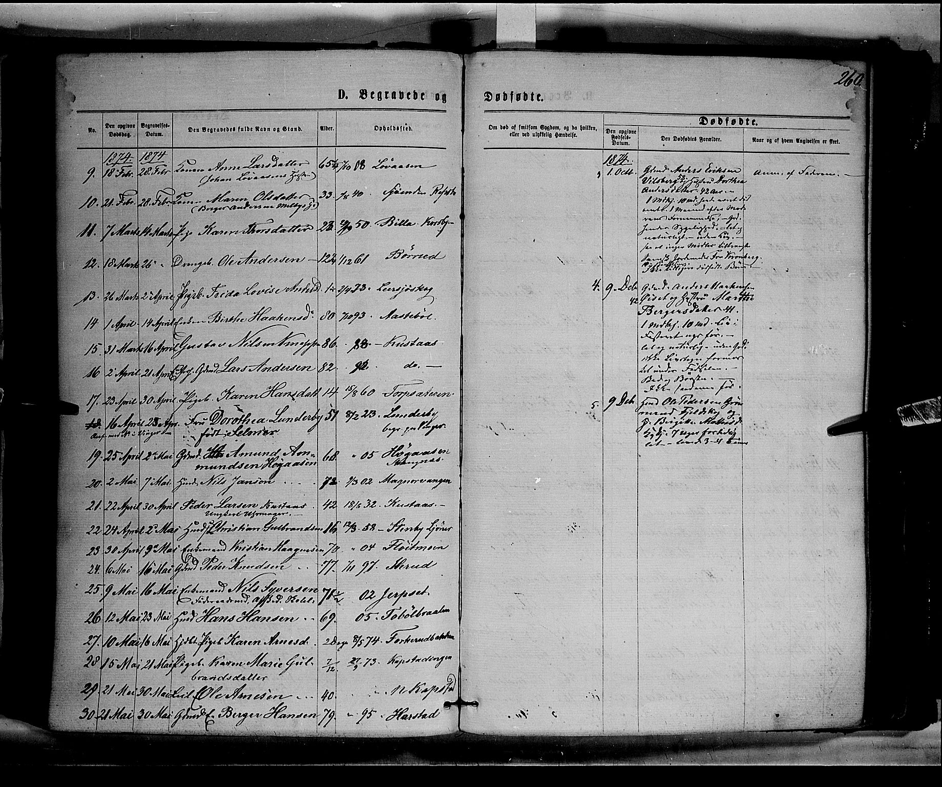 Eidskog prestekontor, AV/SAH-PREST-026/H/Ha/Haa/L0002: Parish register (official) no. 2, 1867-1878, p. 260