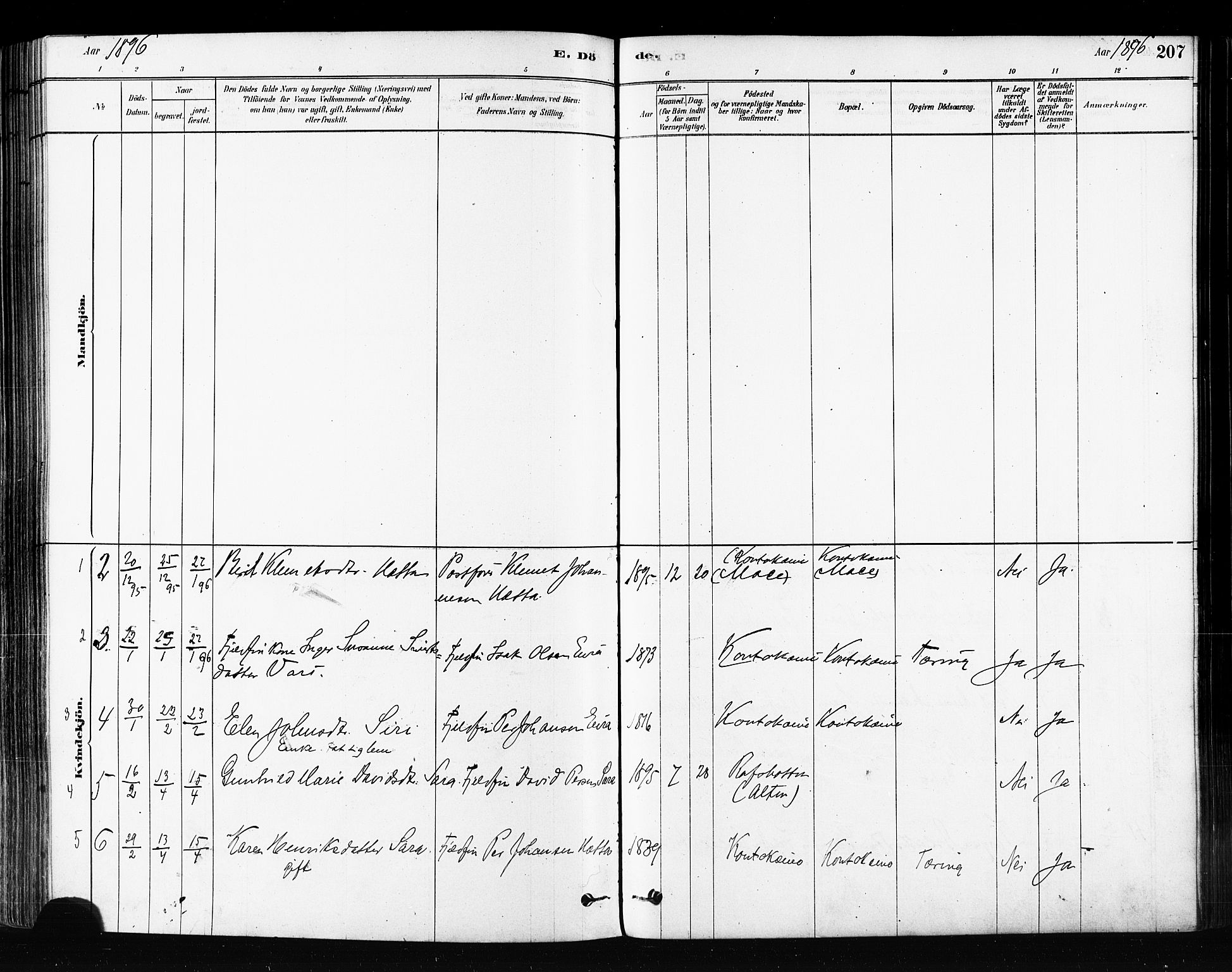 Kautokeino sokneprestembete, AV/SATØ-S-1340/H/Ha/L0004.kirke: Parish register (official) no. 4, 1877-1896, p. 207