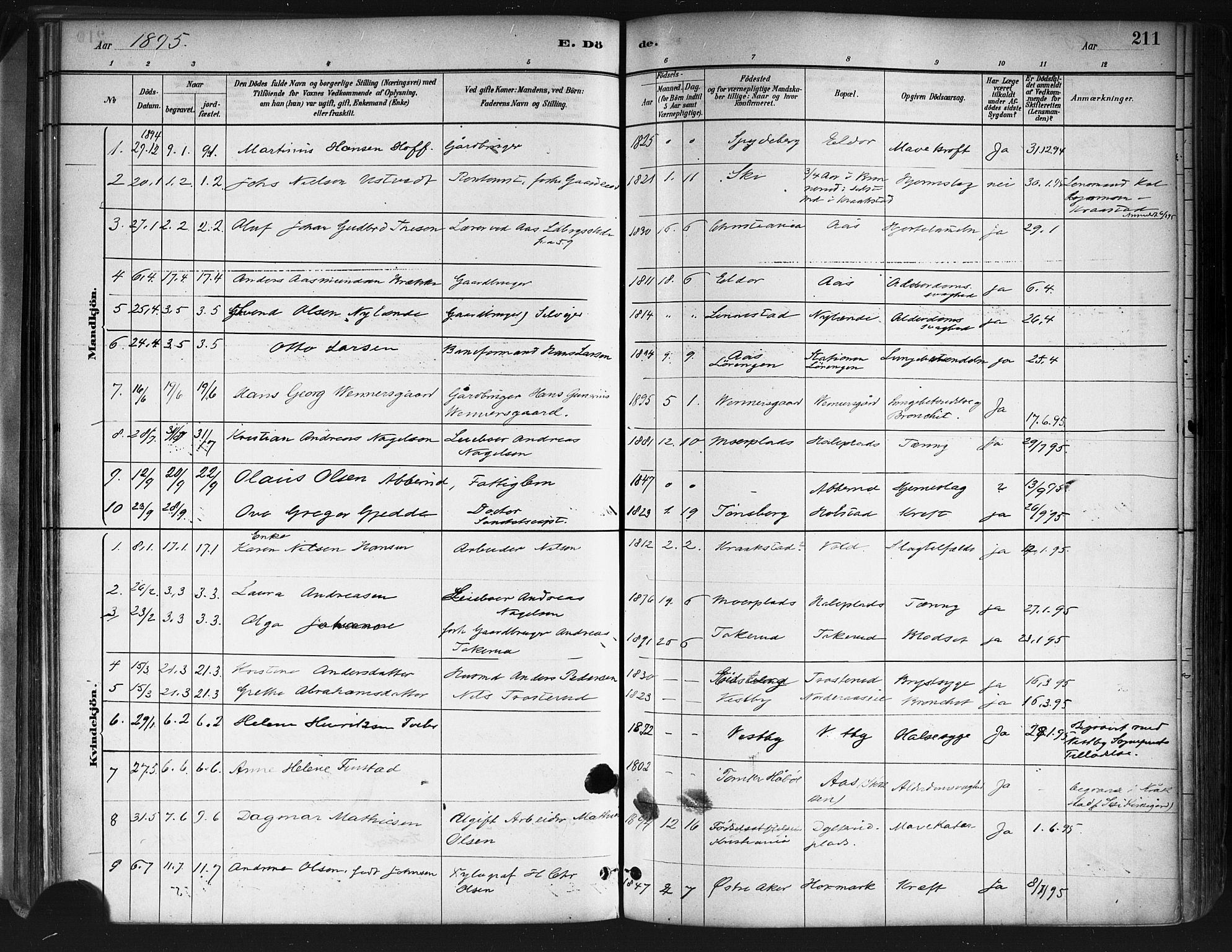 Ås prestekontor Kirkebøker, AV/SAO-A-10894/F/Fa/L0009: Parish register (official) no. I 9, 1881-1900, p. 211