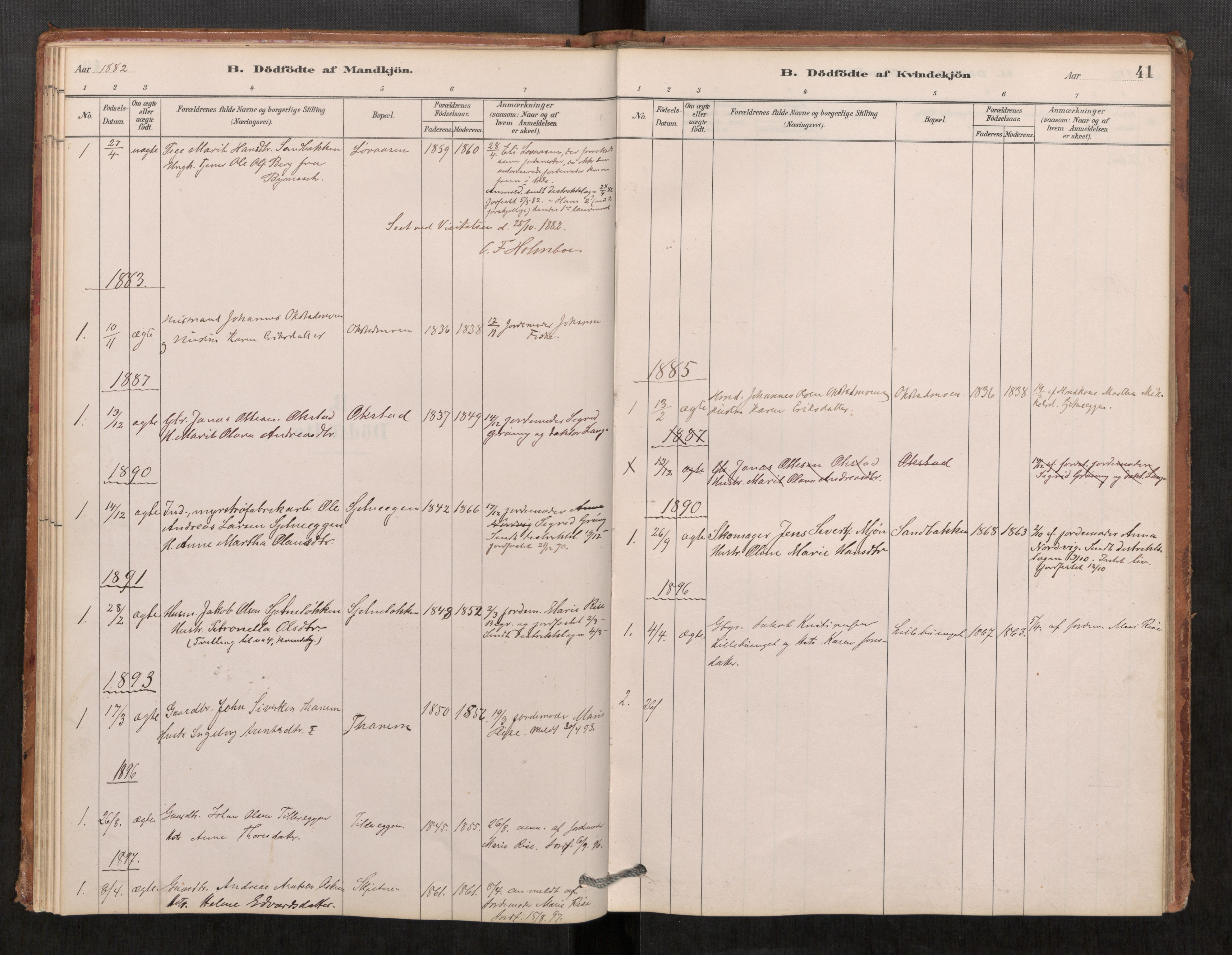 Klæbu sokneprestkontor, AV/SAT-A-1112: Parish register (official) no. 1, 1880-1900, p. 41