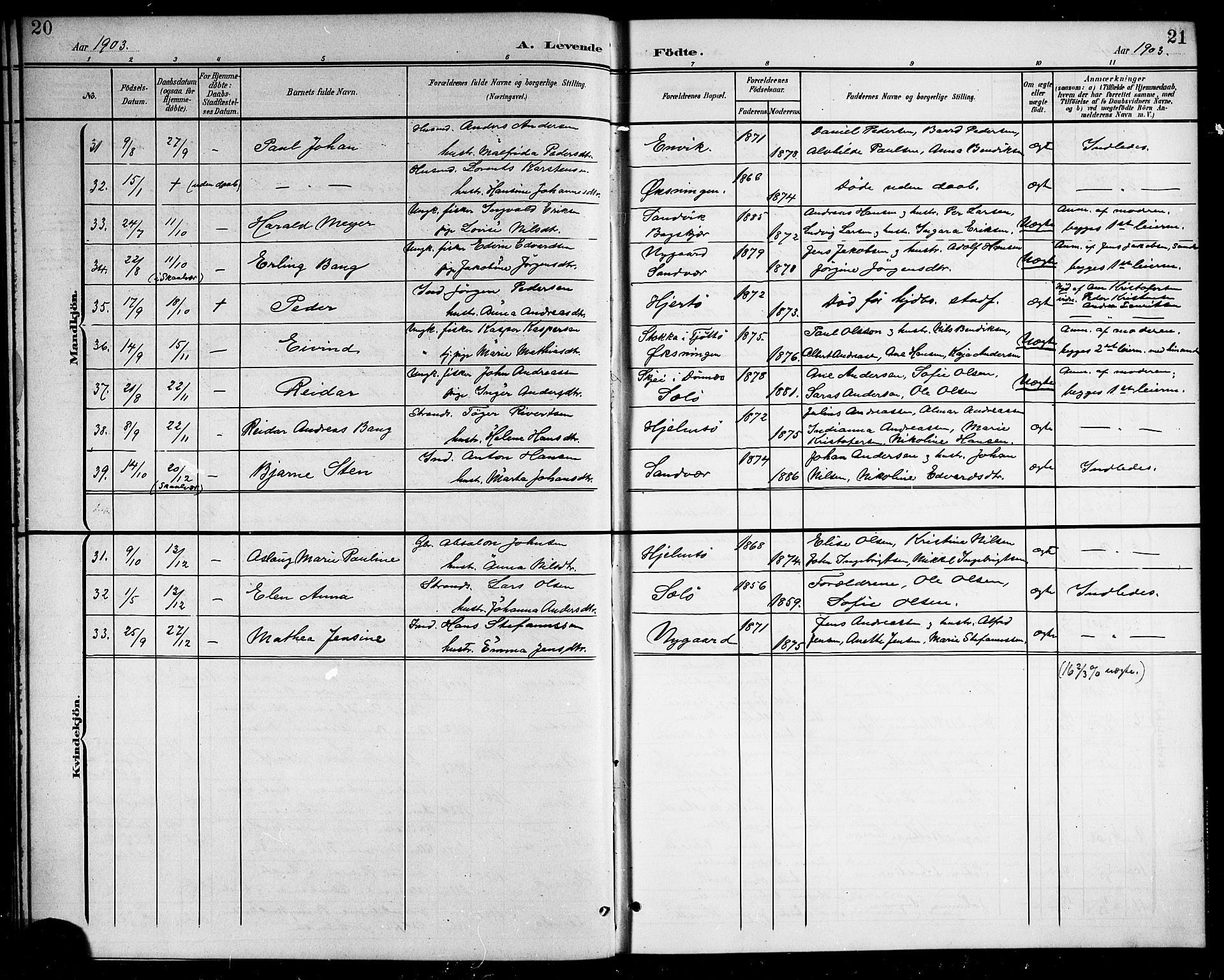 Ministerialprotokoller, klokkerbøker og fødselsregistre - Nordland, SAT/A-1459/834/L0516: Parish register (copy) no. 834C06, 1902-1918, p. 20-21