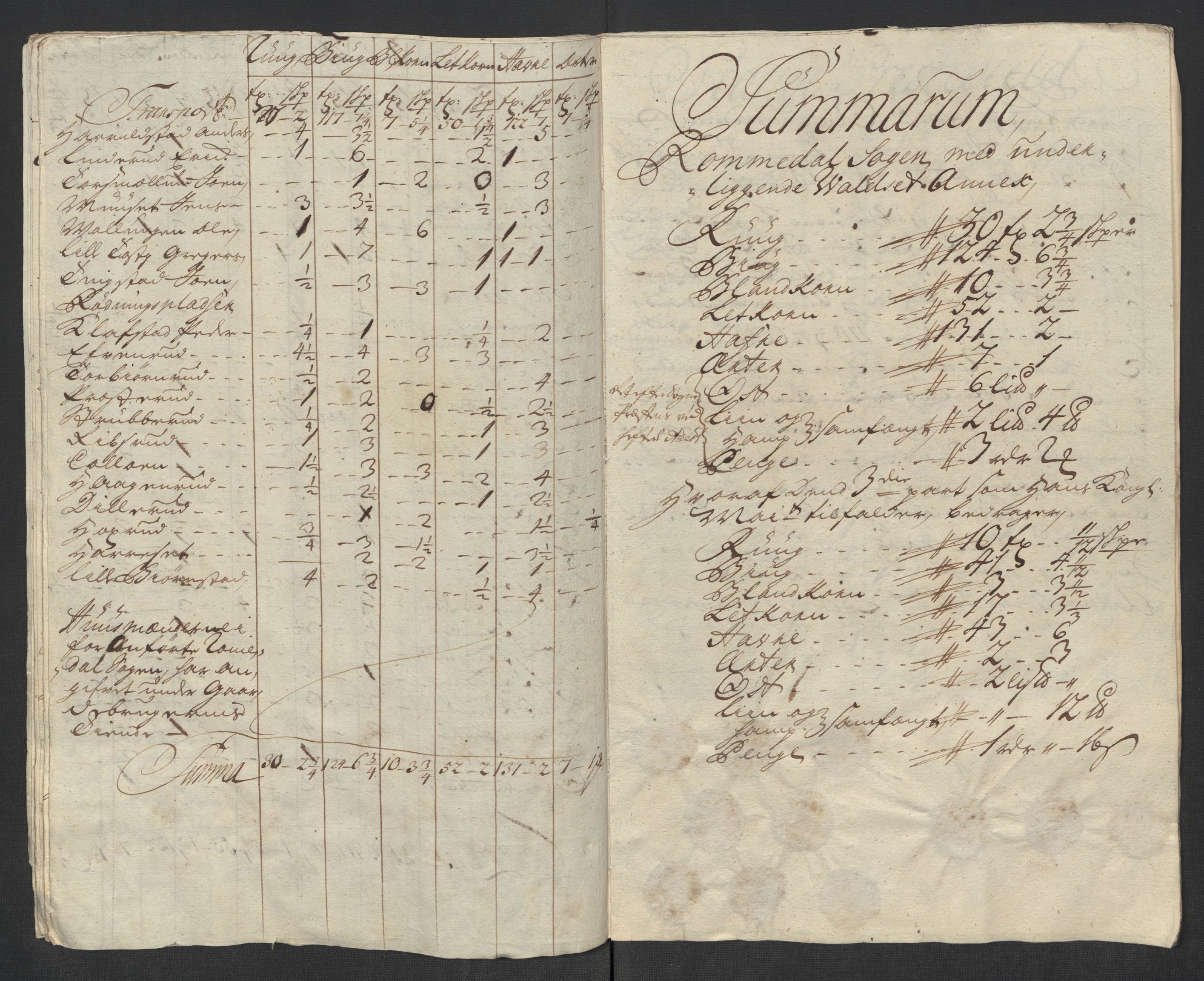 Rentekammeret inntil 1814, Reviderte regnskaper, Fogderegnskap, RA/EA-4092/R16/L1057: Fogderegnskap Hedmark, 1718, p. 238