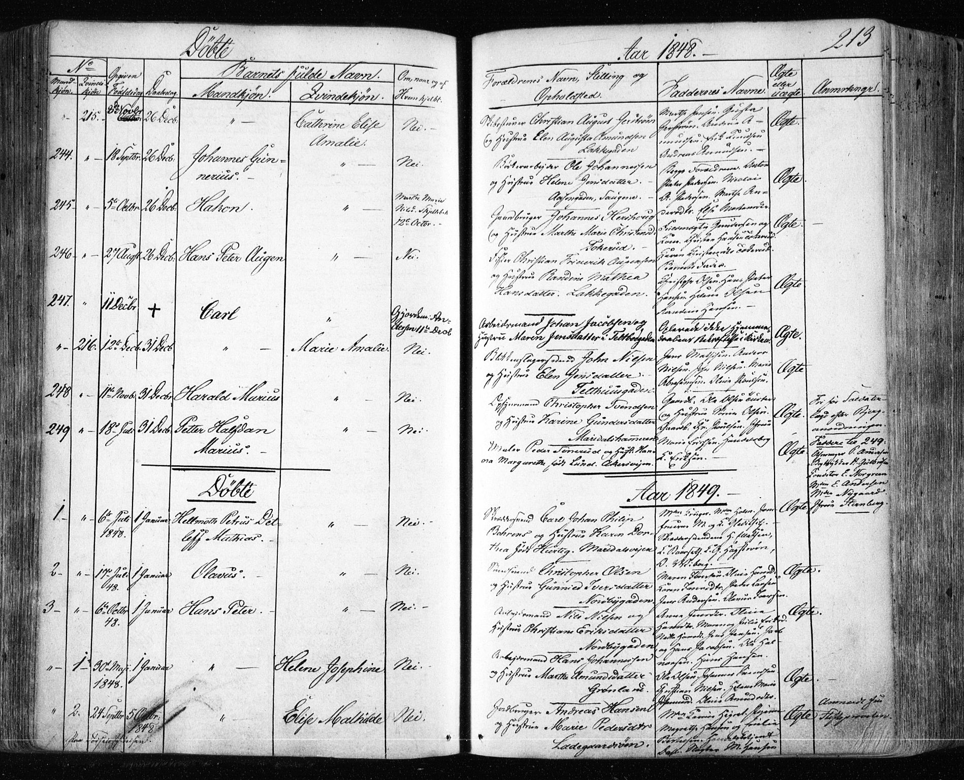 Aker prestekontor kirkebøker, SAO/A-10861/F/L0019: Parish register (official) no. 19, 1842-1852, p. 213