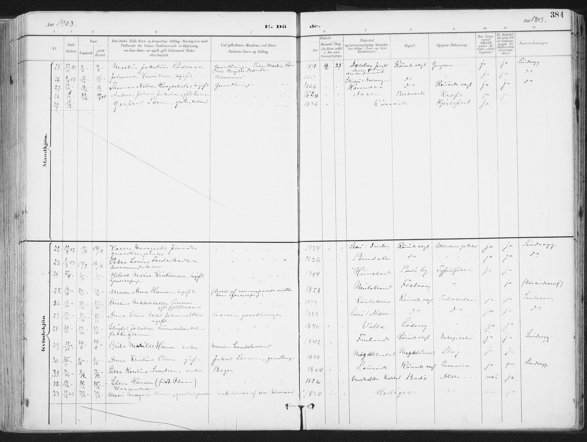Ministerialprotokoller, klokkerbøker og fødselsregistre - Nordland, SAT/A-1459/802/L0055: Parish register (official) no. 802A02, 1894-1915, p. 384