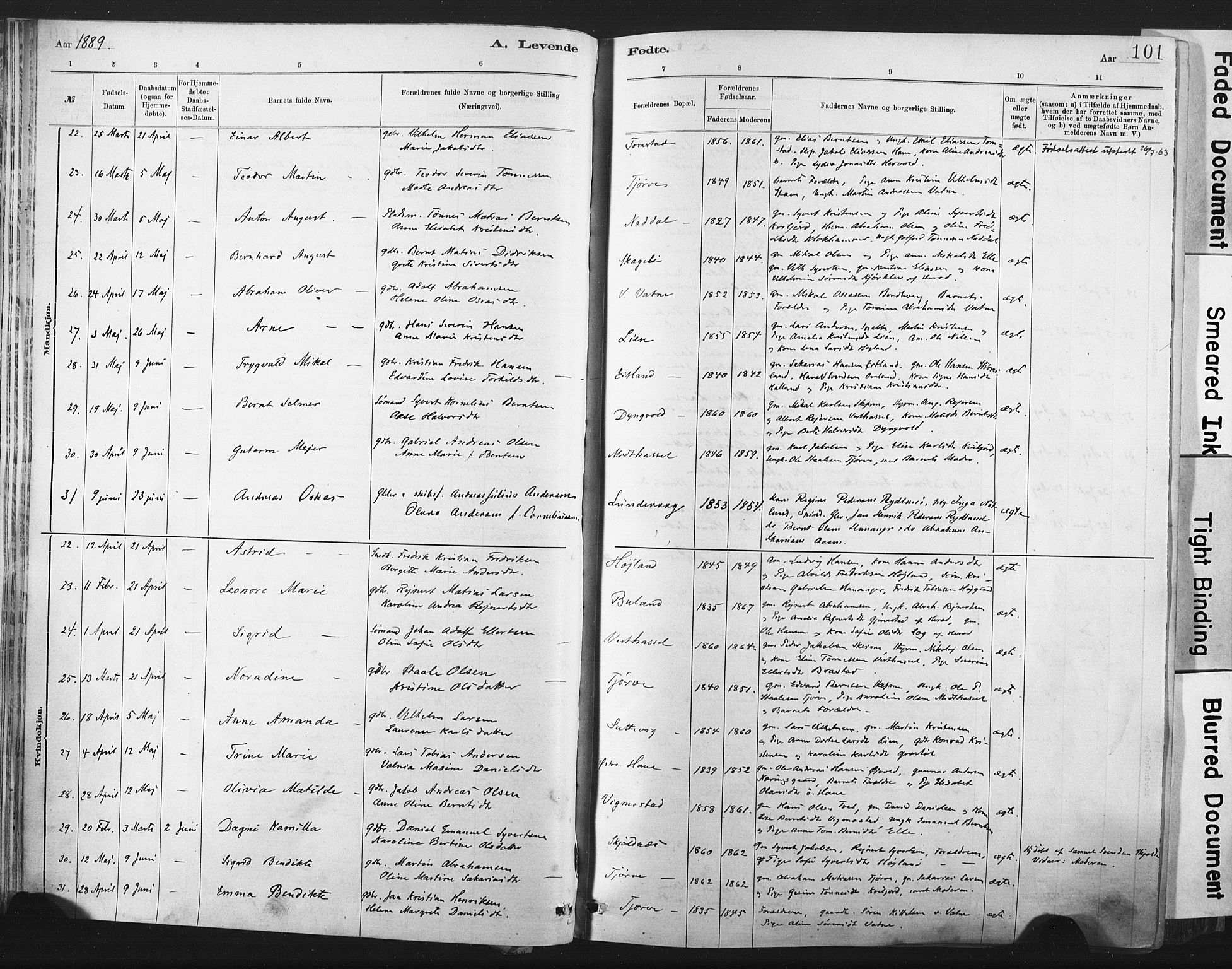 Lista sokneprestkontor, AV/SAK-1111-0027/F/Fa/L0012: Parish register (official) no. A 12, 1879-1903, p. 101