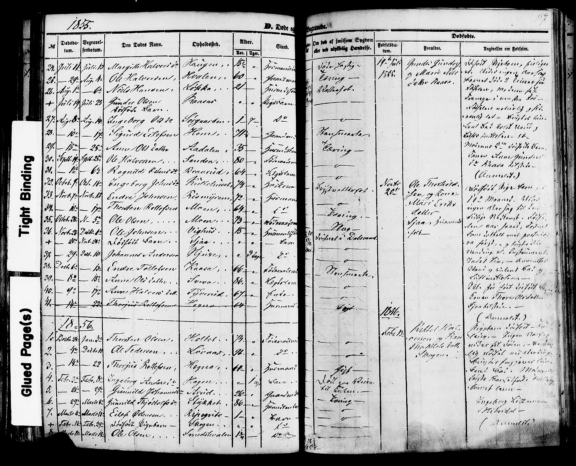 Sauherad kirkebøker, SAKO/A-298/F/Fa/L0007: Parish register (official) no. I 7, 1851-1873, p. 187