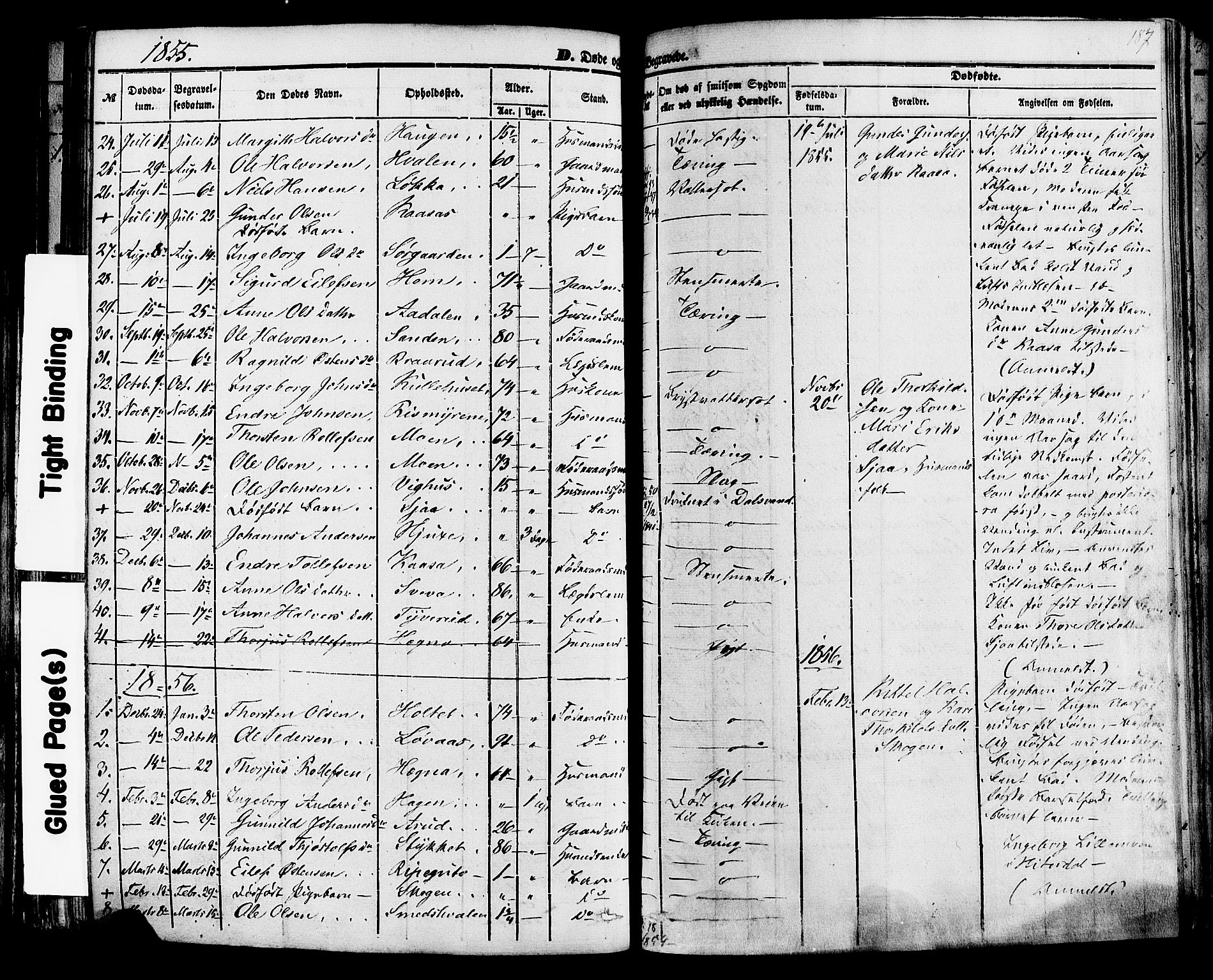 Sauherad kirkebøker, AV/SAKO-A-298/F/Fa/L0007: Parish register (official) no. I 7, 1851-1873, p. 187