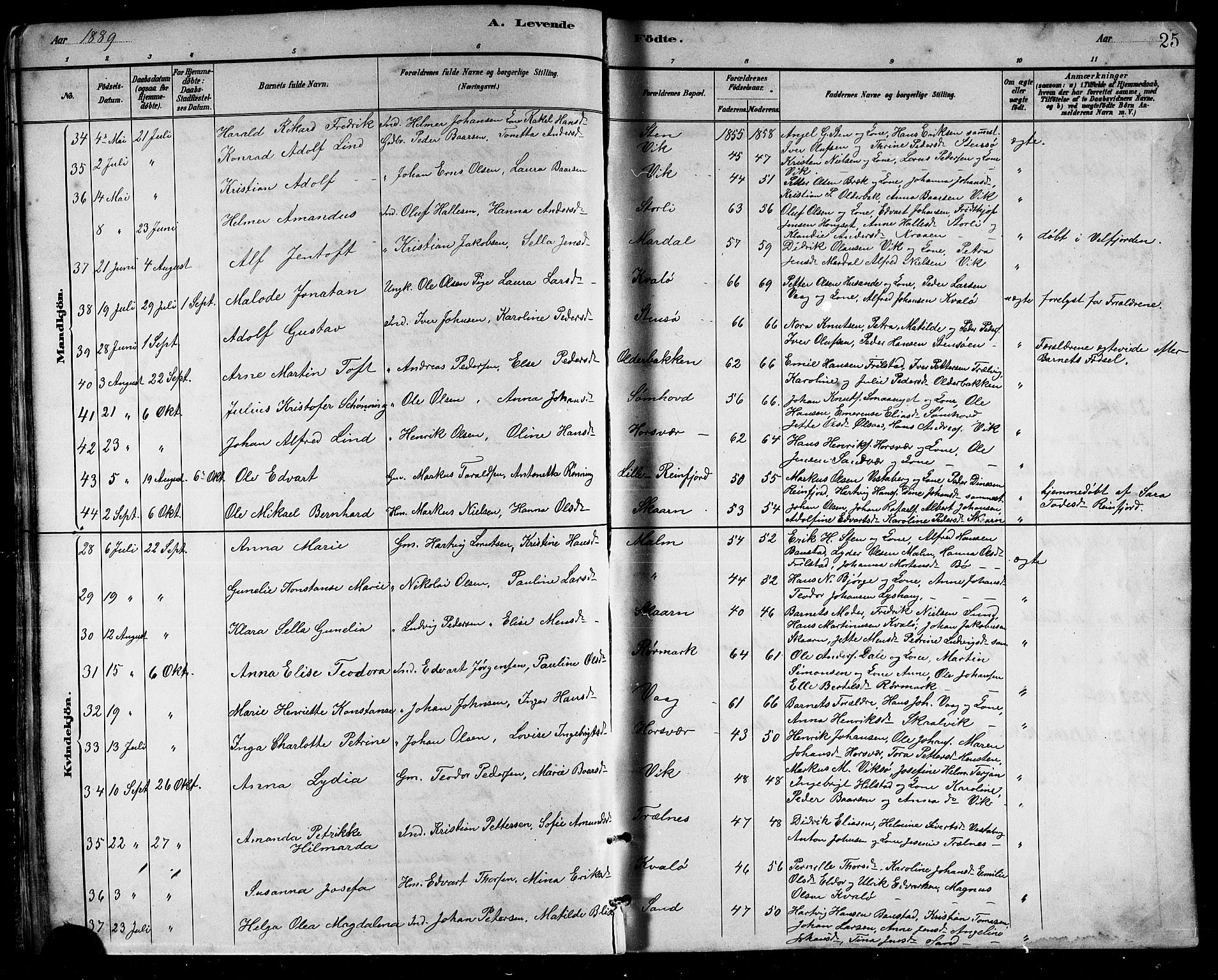 Ministerialprotokoller, klokkerbøker og fødselsregistre - Nordland, AV/SAT-A-1459/812/L0188: Parish register (copy) no. 812C06, 1884-1912, p. 25