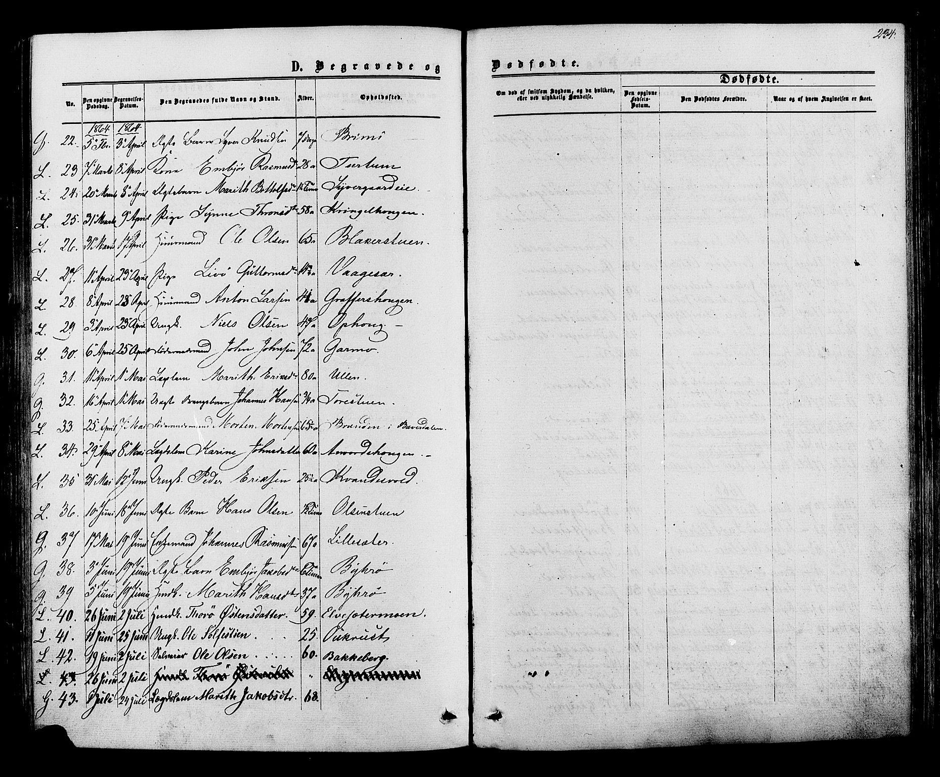 Lom prestekontor, SAH/PREST-070/K/L0007: Parish register (official) no. 7, 1863-1884, p. 234