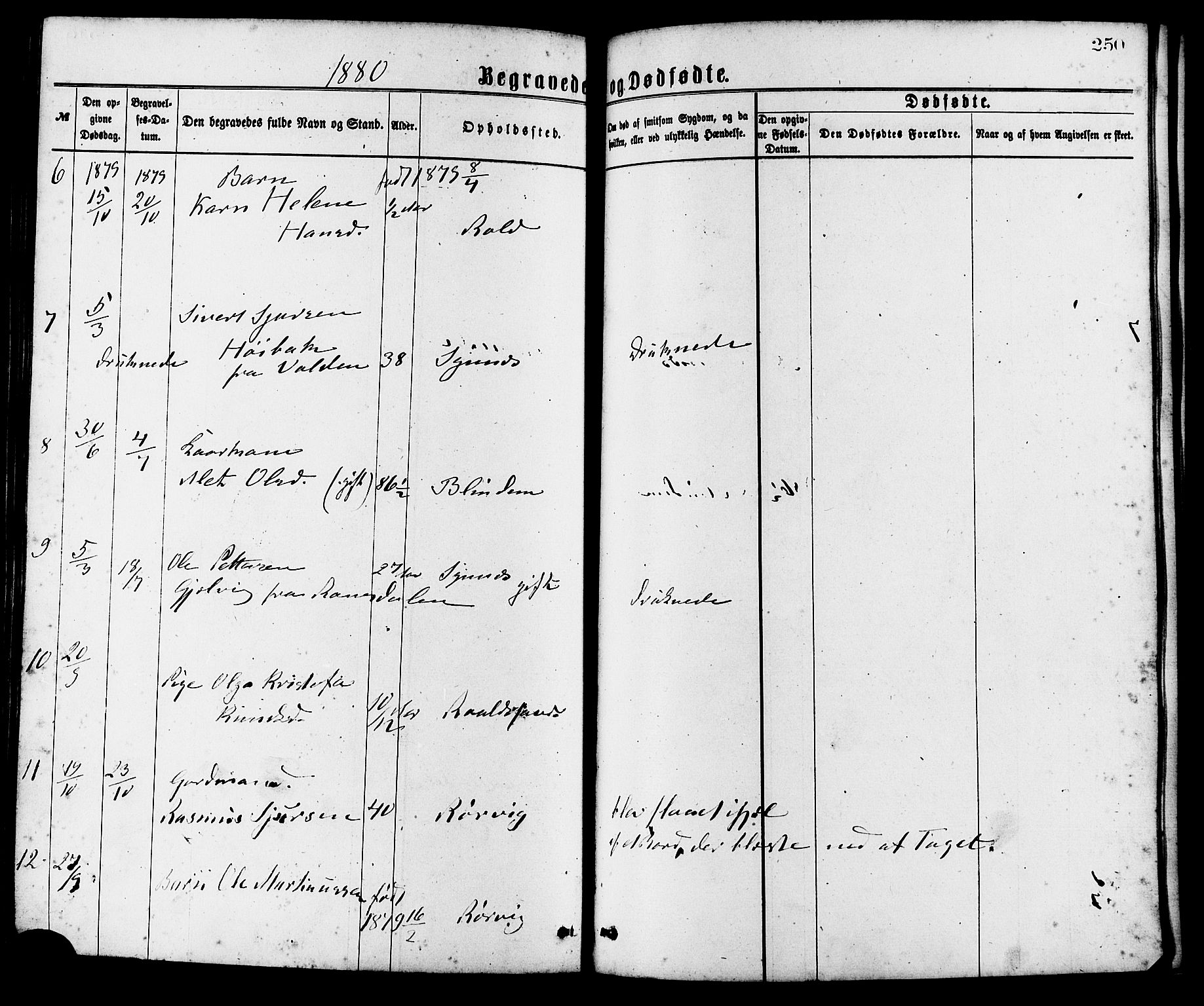 Ministerialprotokoller, klokkerbøker og fødselsregistre - Møre og Romsdal, AV/SAT-A-1454/537/L0519: Parish register (official) no. 537A03, 1876-1889, p. 250