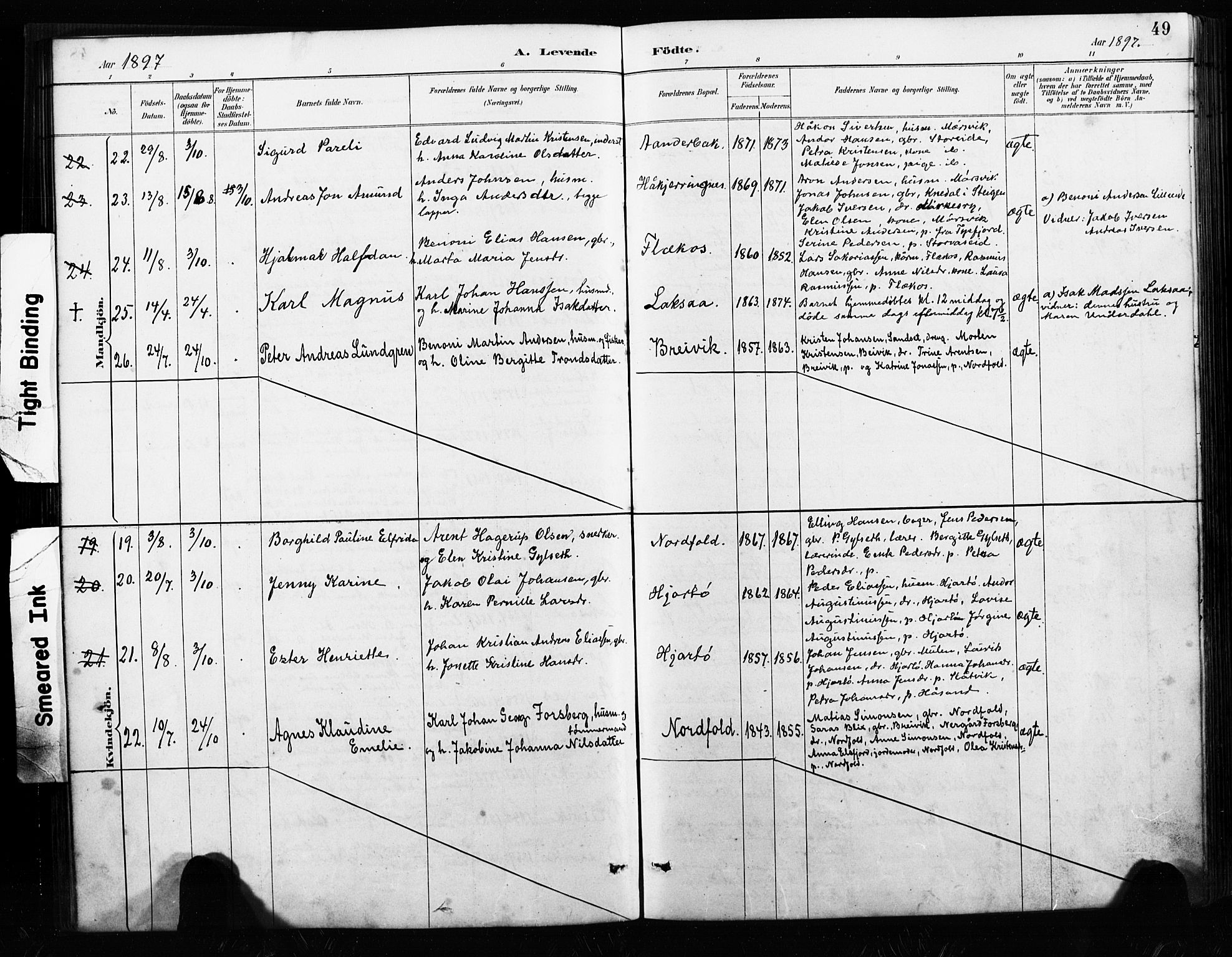 Ministerialprotokoller, klokkerbøker og fødselsregistre - Nordland, AV/SAT-A-1459/858/L0834: Parish register (copy) no. 858C01, 1884-1904, p. 49