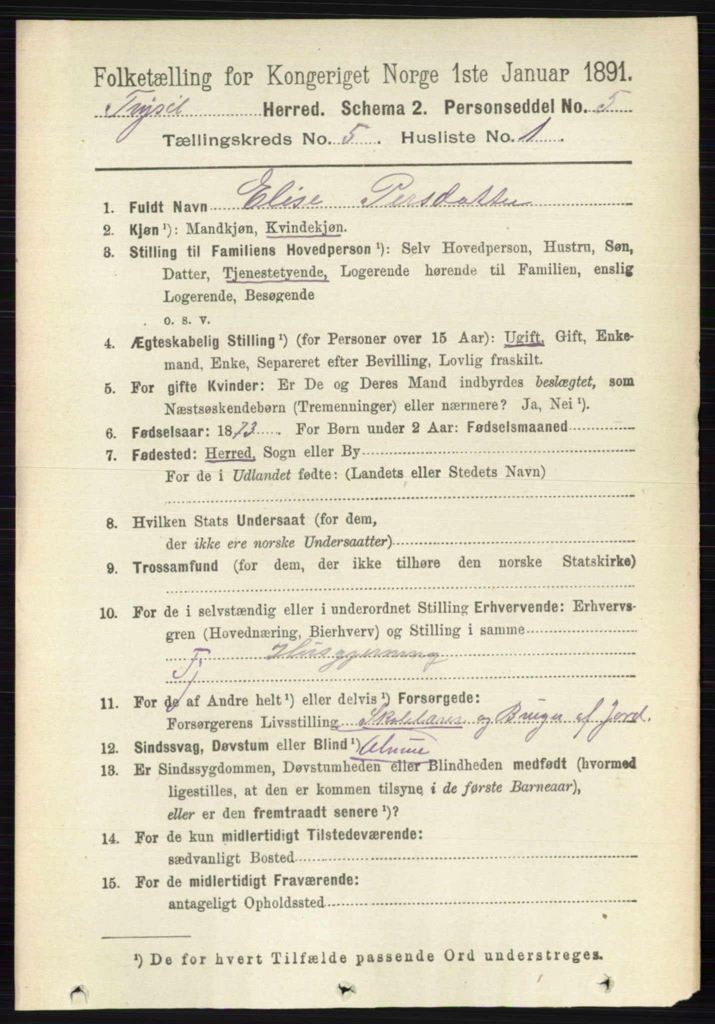 RA, 1891 census for 0428 Trysil, 1891, p. 2305