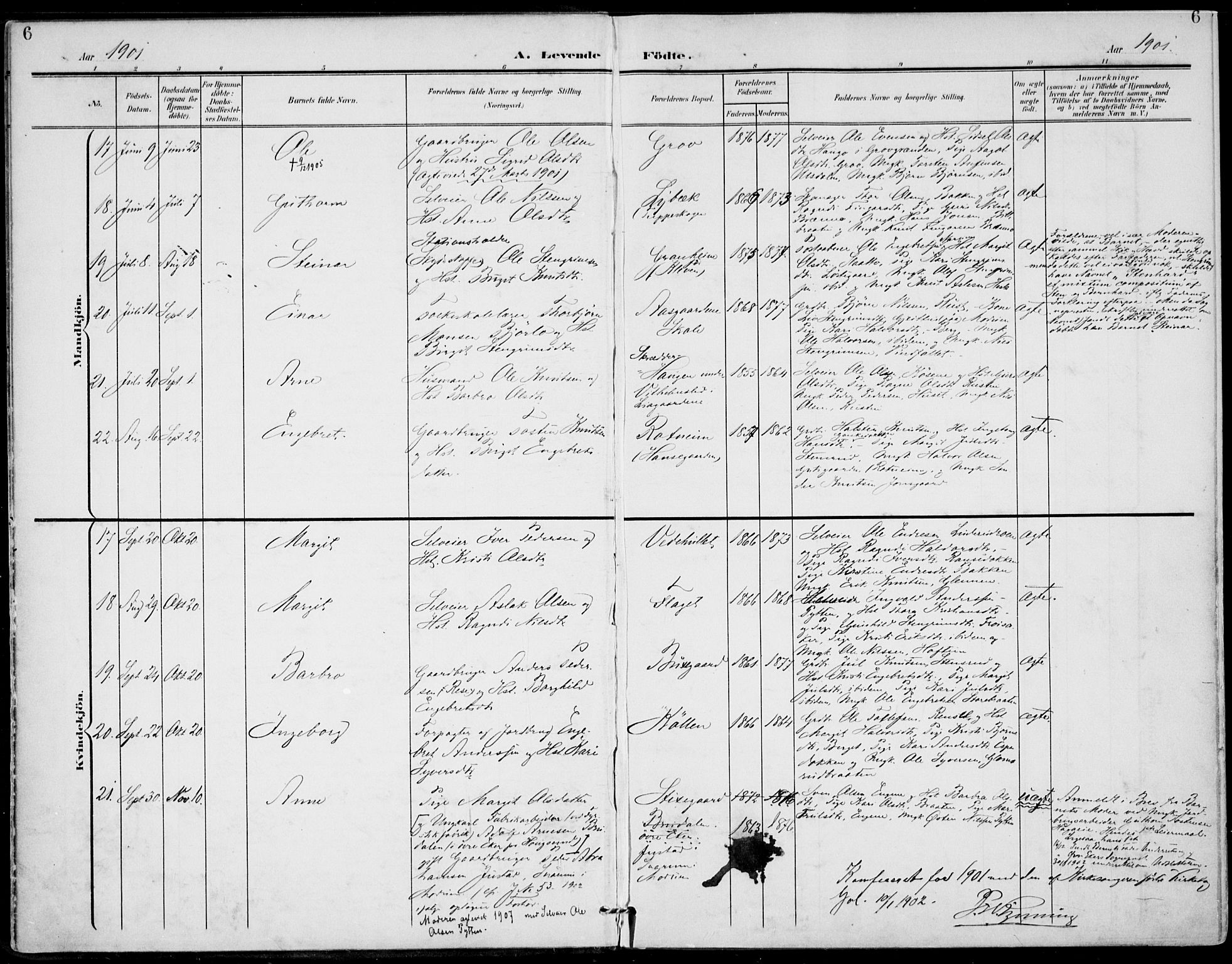 Gol kirkebøker, SAKO/A-226/F/Fa/L0006: Parish register (official) no. I 6, 1901-1918, p. 6