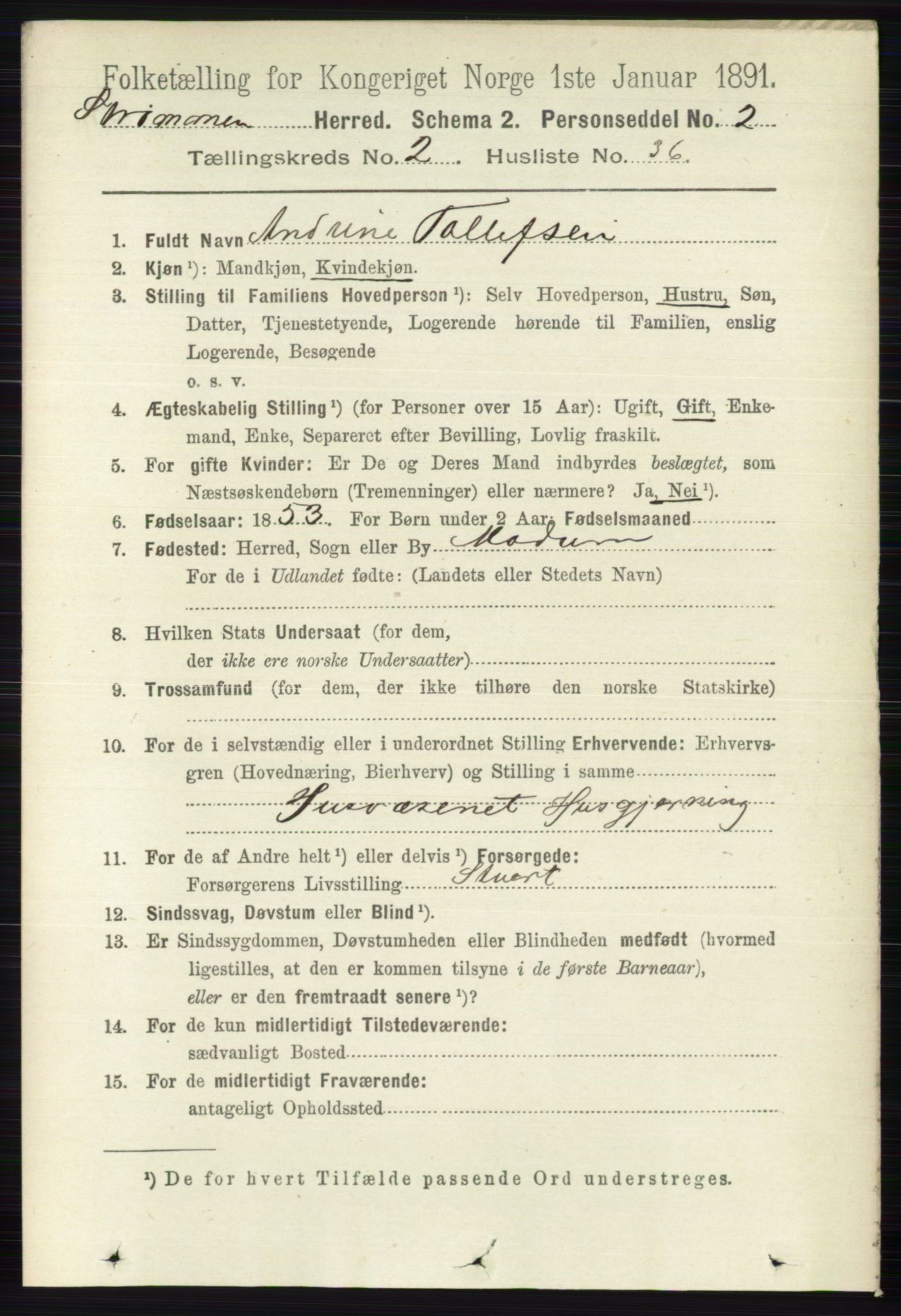 RA, 1891 census for 0711 Strømm, 1891, p. 904