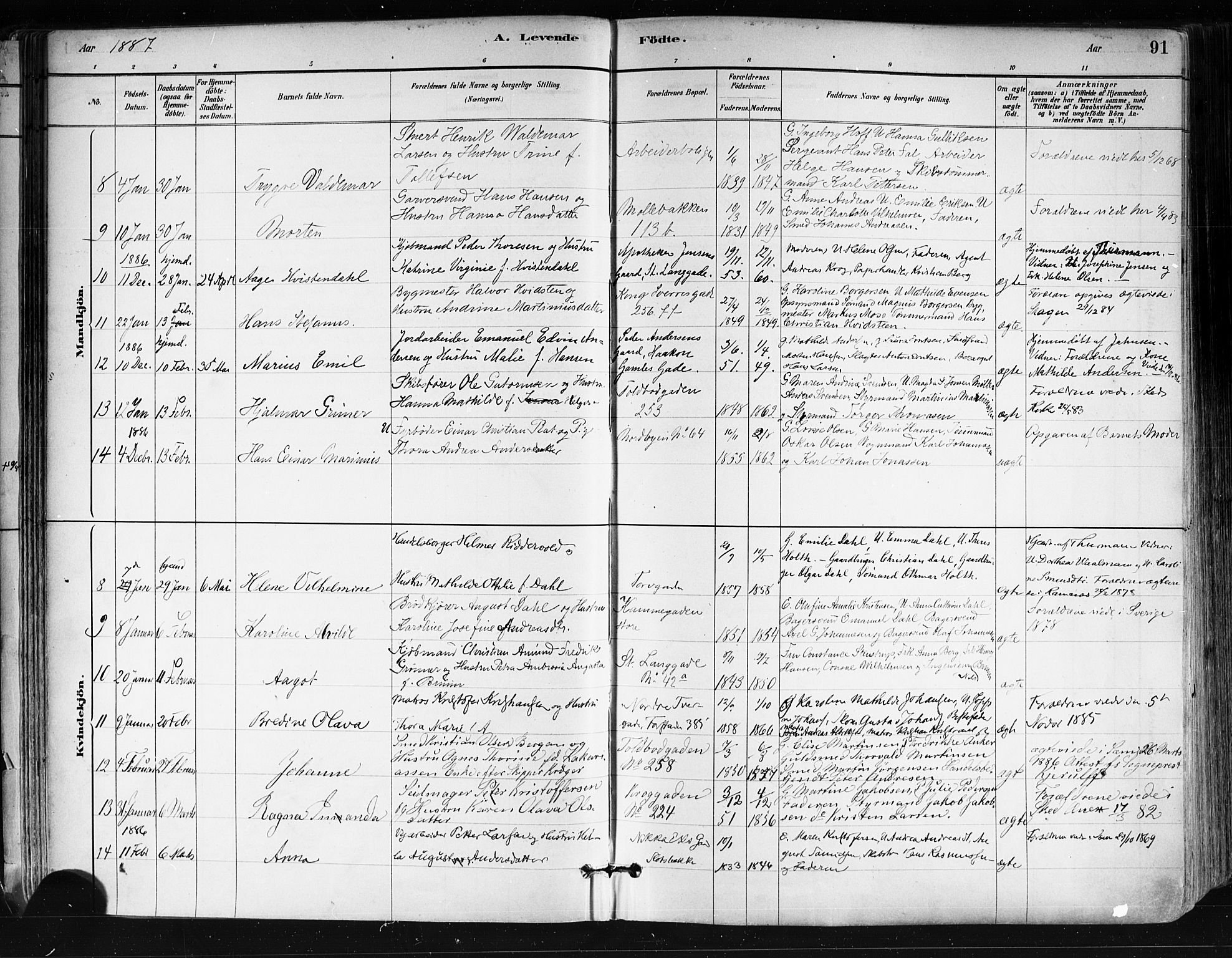 Tønsberg kirkebøker, AV/SAKO-A-330/F/Fa/L0011: Parish register (official) no. I 11, 1881-1890, p. 91