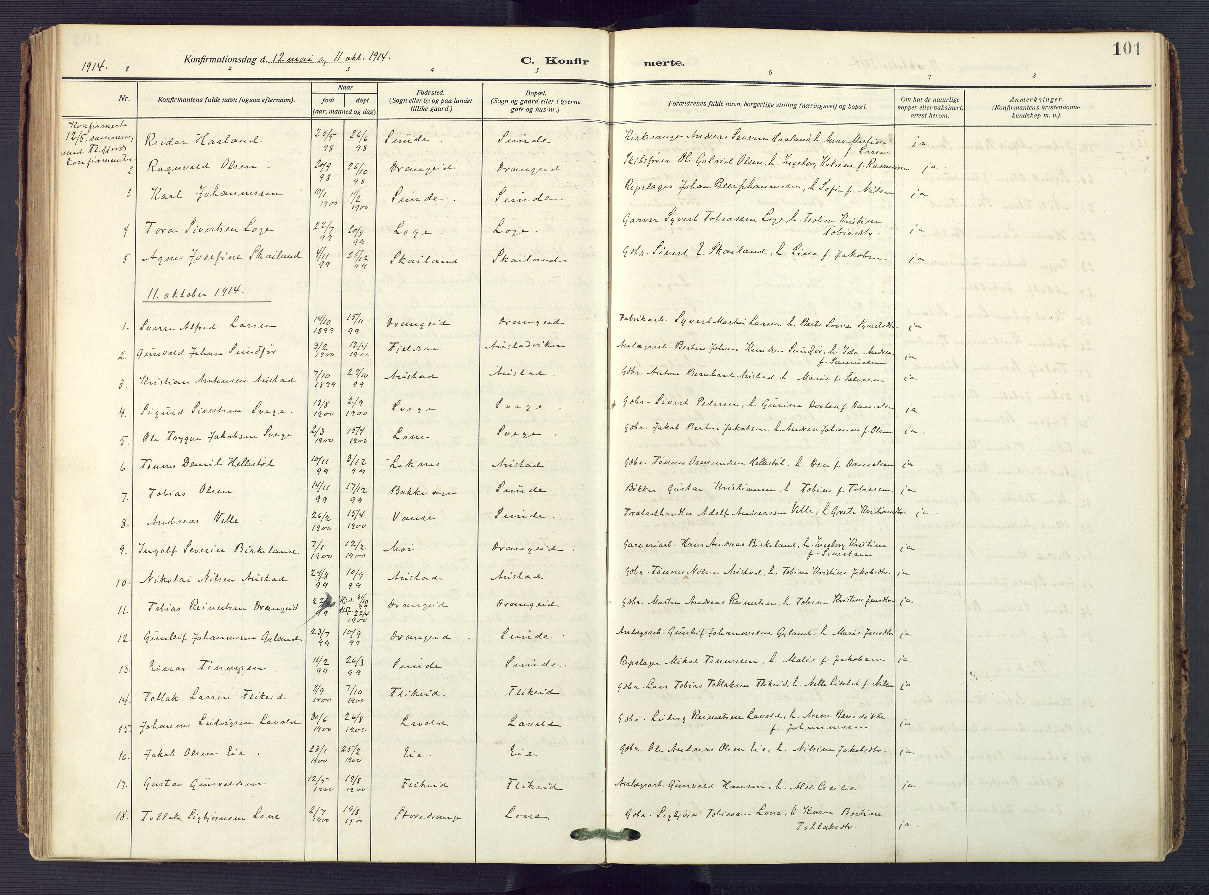 Flekkefjord sokneprestkontor, AV/SAK-1111-0012/F/Fa/Fac/L0010: Parish register (official) no. A 10, 1910-1927, p. 101