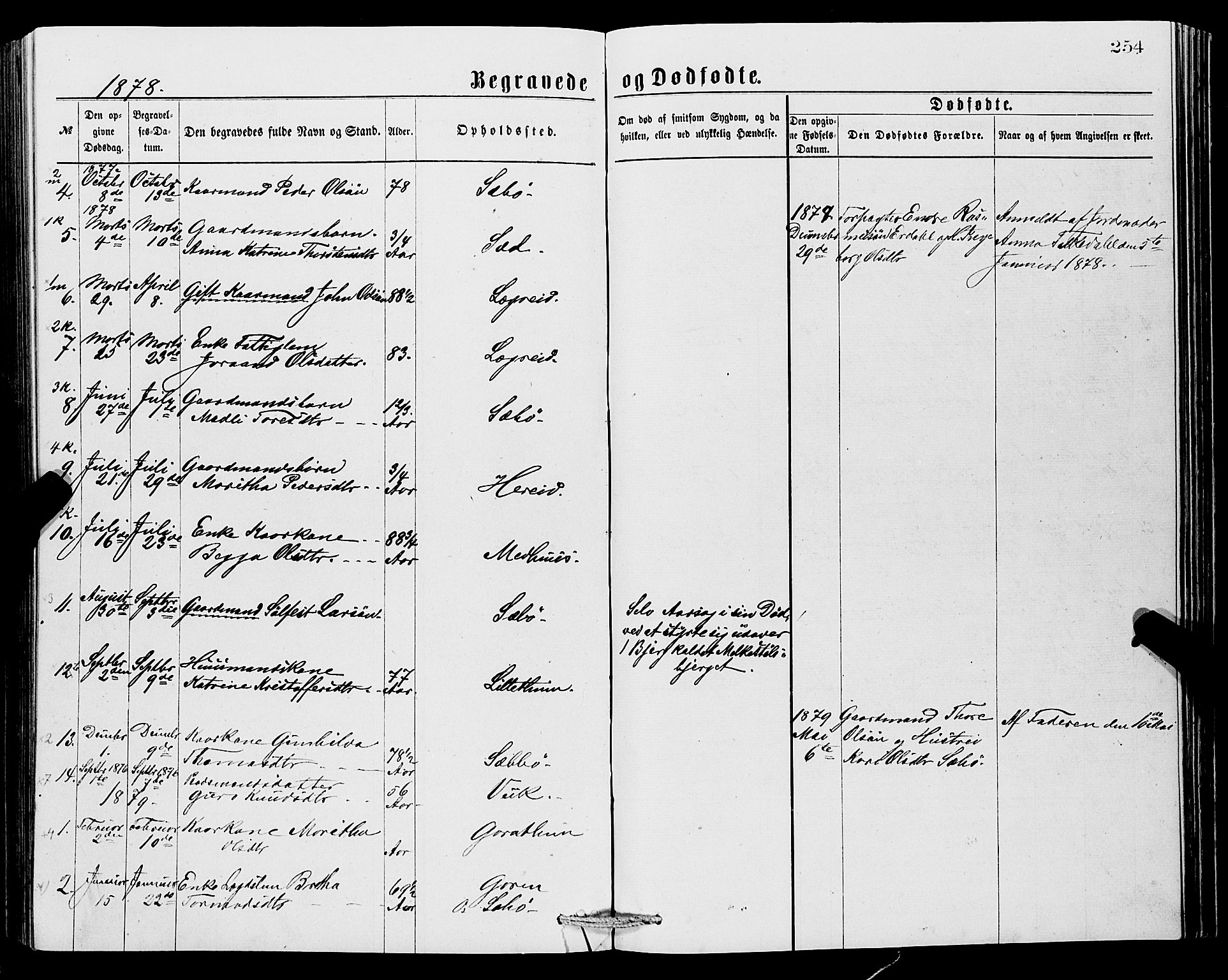 Ullensvang sokneprestembete, SAB/A-78701/H/Hab: Parish register (copy) no. C 2, 1871-1899, p. 254