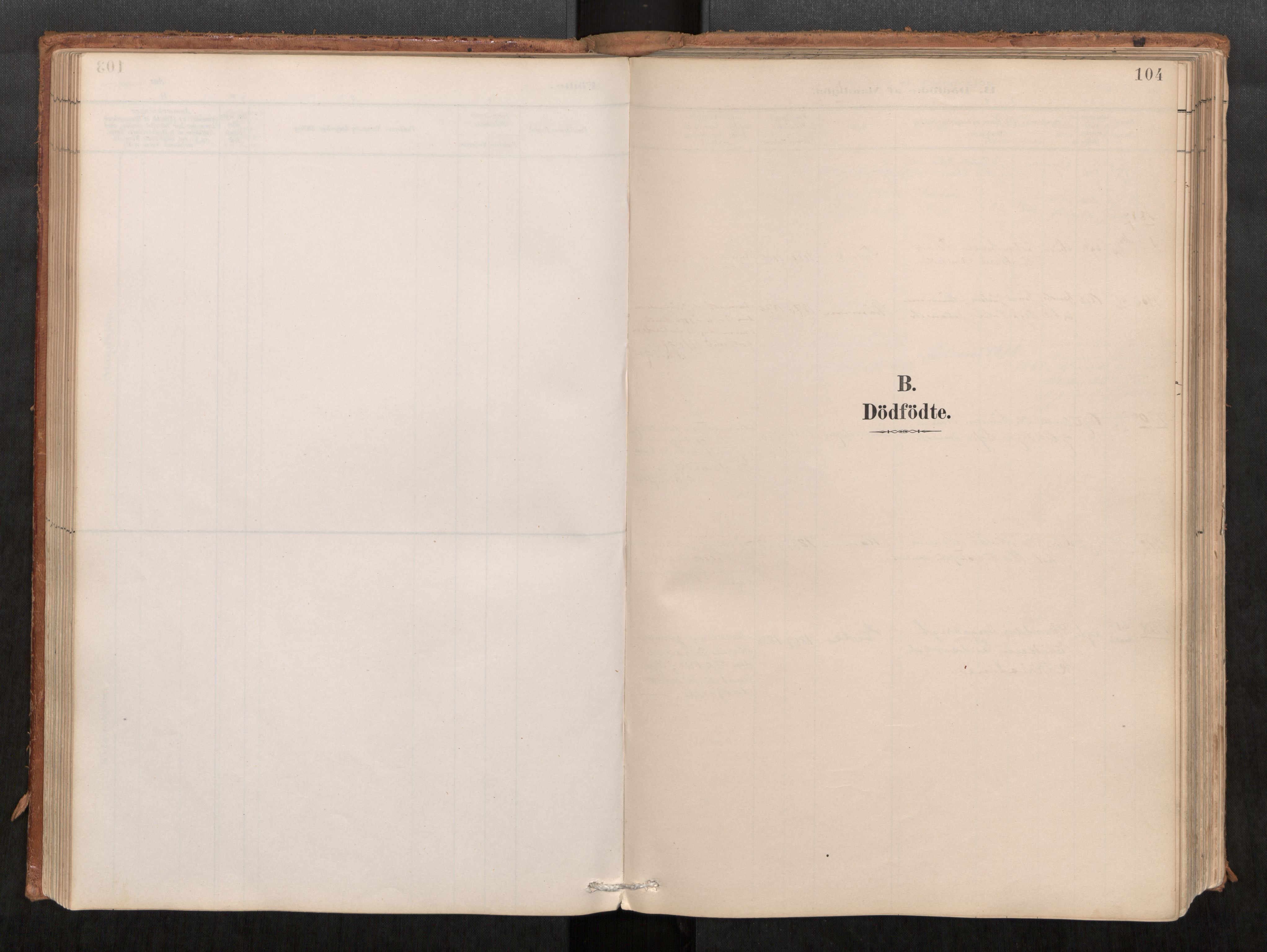 Ministerialprotokoller, klokkerbøker og fødselsregistre - Møre og Romsdal, AV/SAT-A-1454/542/L0553: Parish register (official) no. 542A03, 1885-1925, p. 104