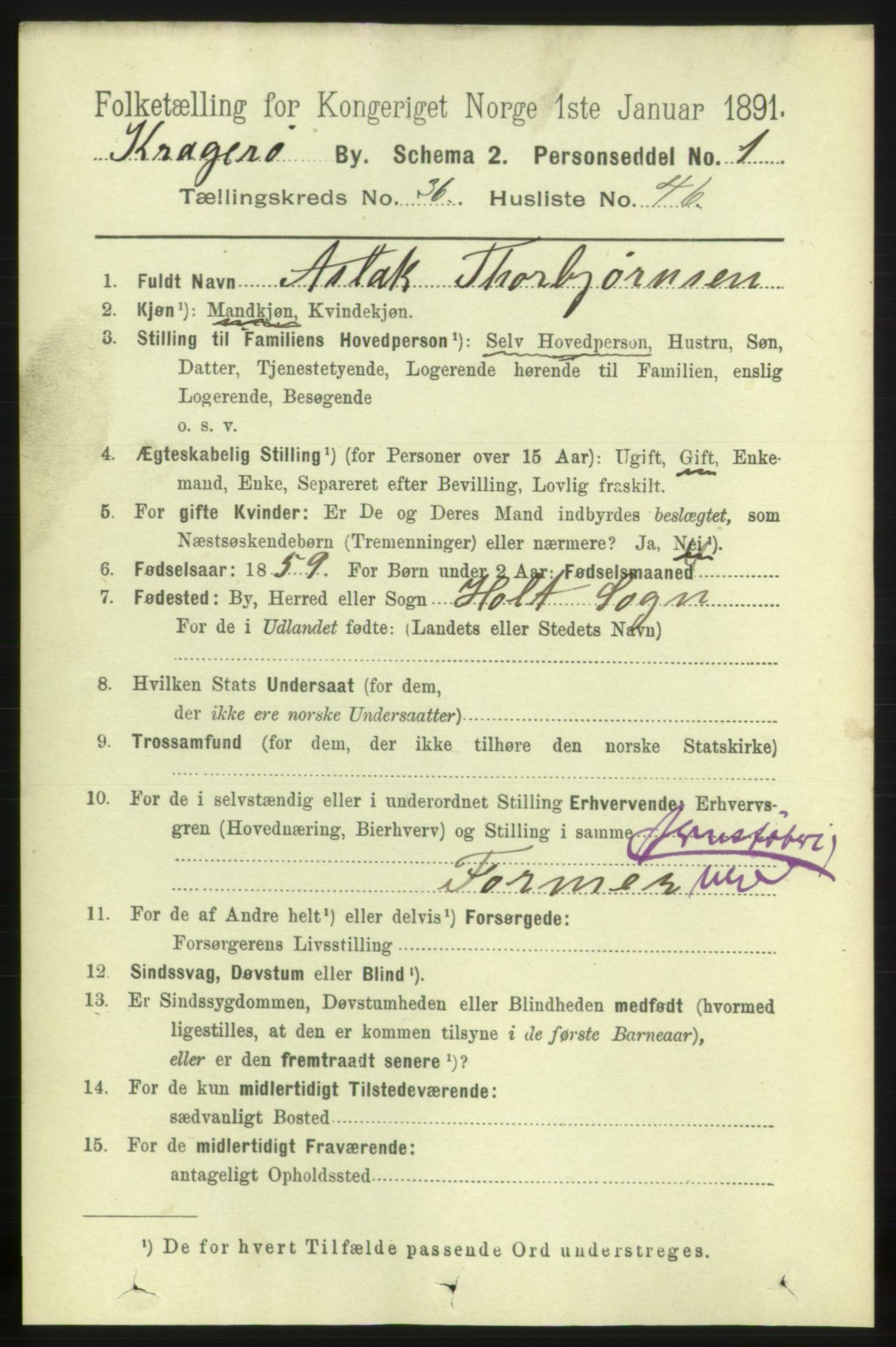 RA, 1891 census for 0801 Kragerø, 1891, p. 6742