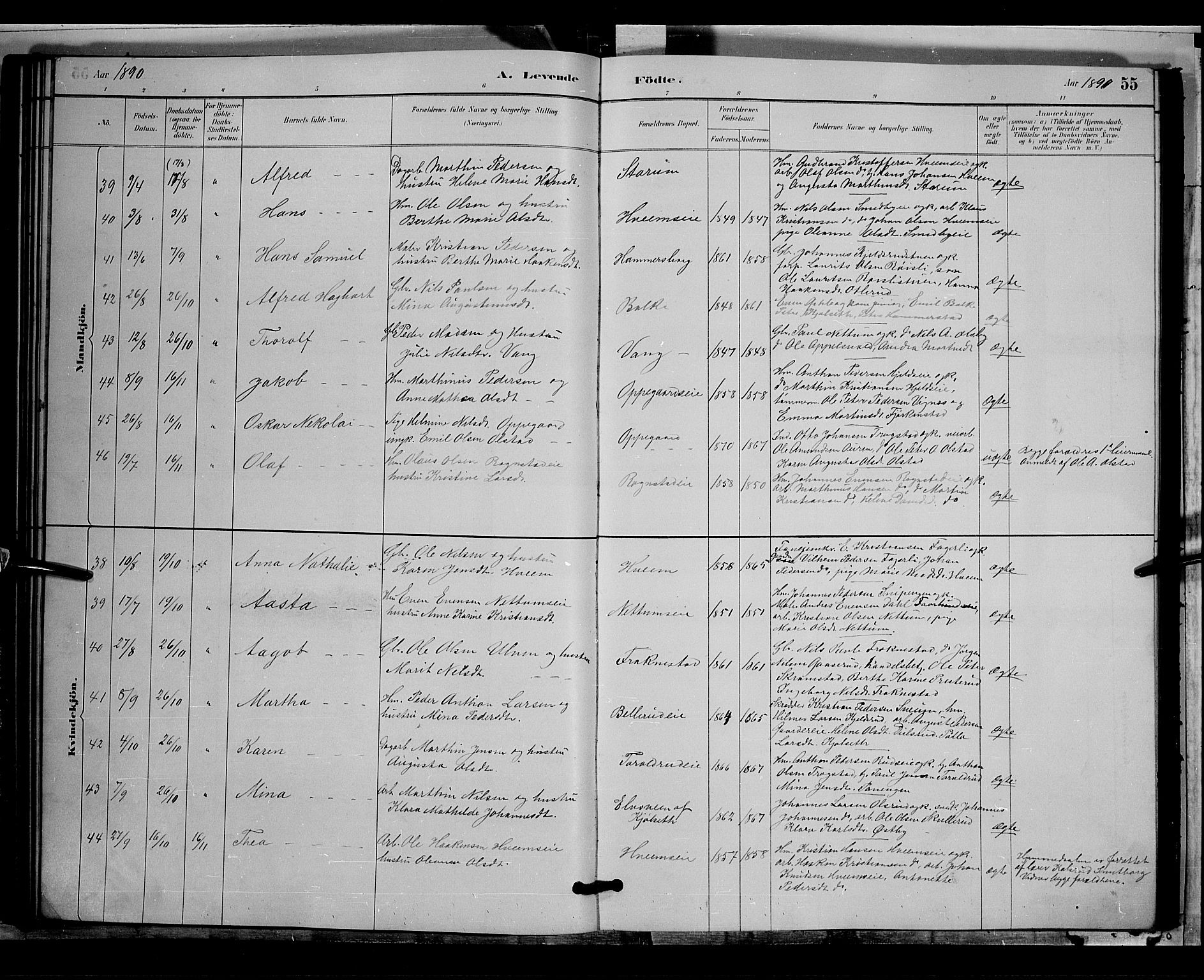 Østre Toten prestekontor, AV/SAH-PREST-104/H/Ha/Hab/L0005: Parish register (copy) no. 5, 1884-1893, p. 55