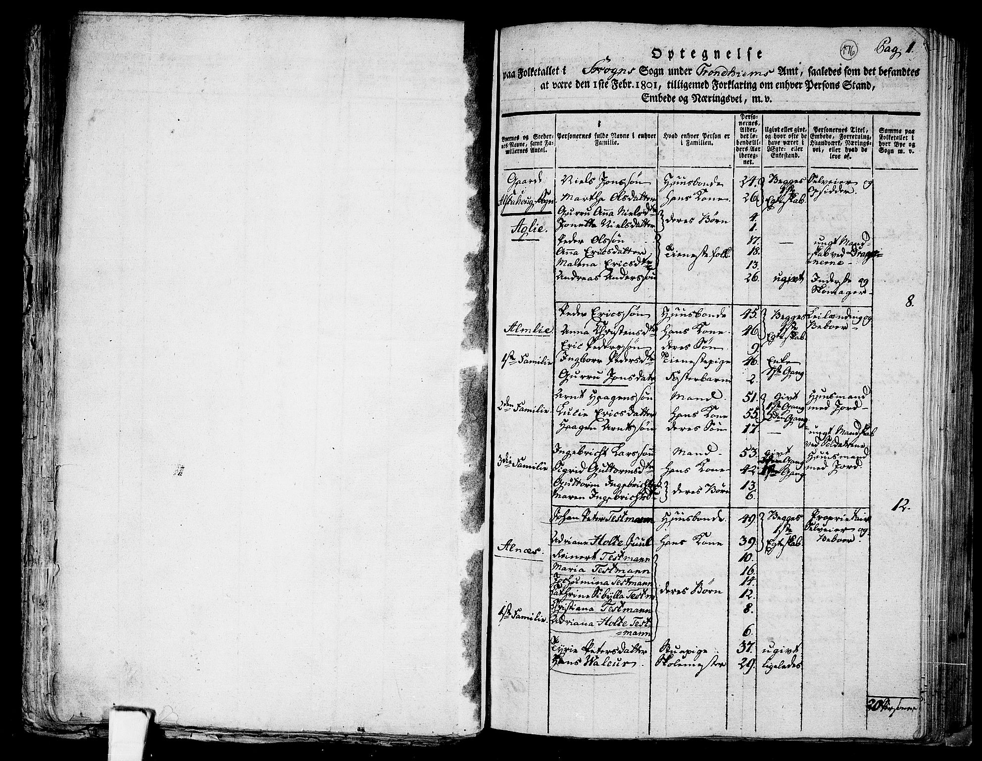 RA, 1801 census for 1719P Skogn, 1801, p. 176a