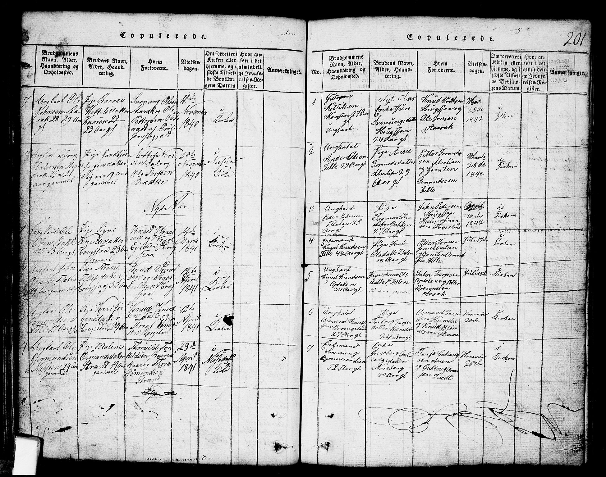 Nissedal kirkebøker, SAKO/A-288/G/Gb/L0001: Parish register (copy) no. II 1, 1814-1862, p. 201