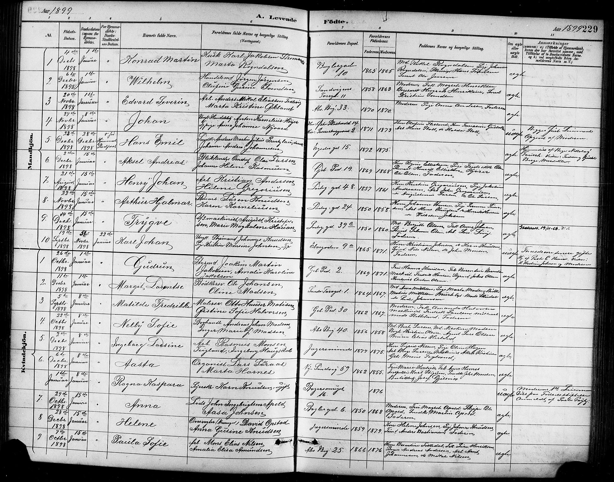 Sandviken Sokneprestembete, AV/SAB-A-77601/H/Hb/L0002: Parish register (copy) no. A 3, 1888-1902, p. 229