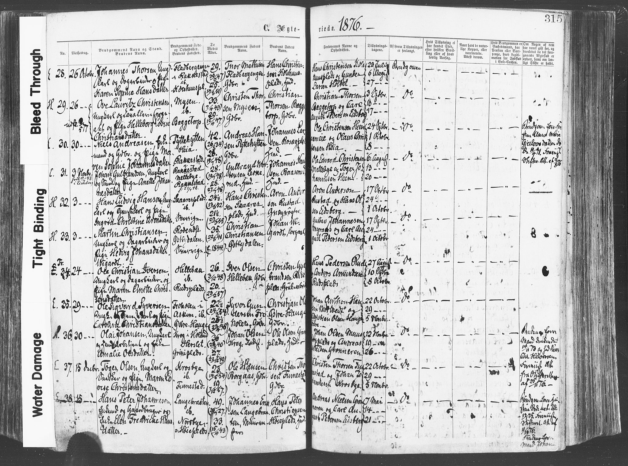 Eidsberg prestekontor Kirkebøker, AV/SAO-A-10905/F/Fa/L0011: Parish register (official) no. I 11, 1867-1878, p. 315