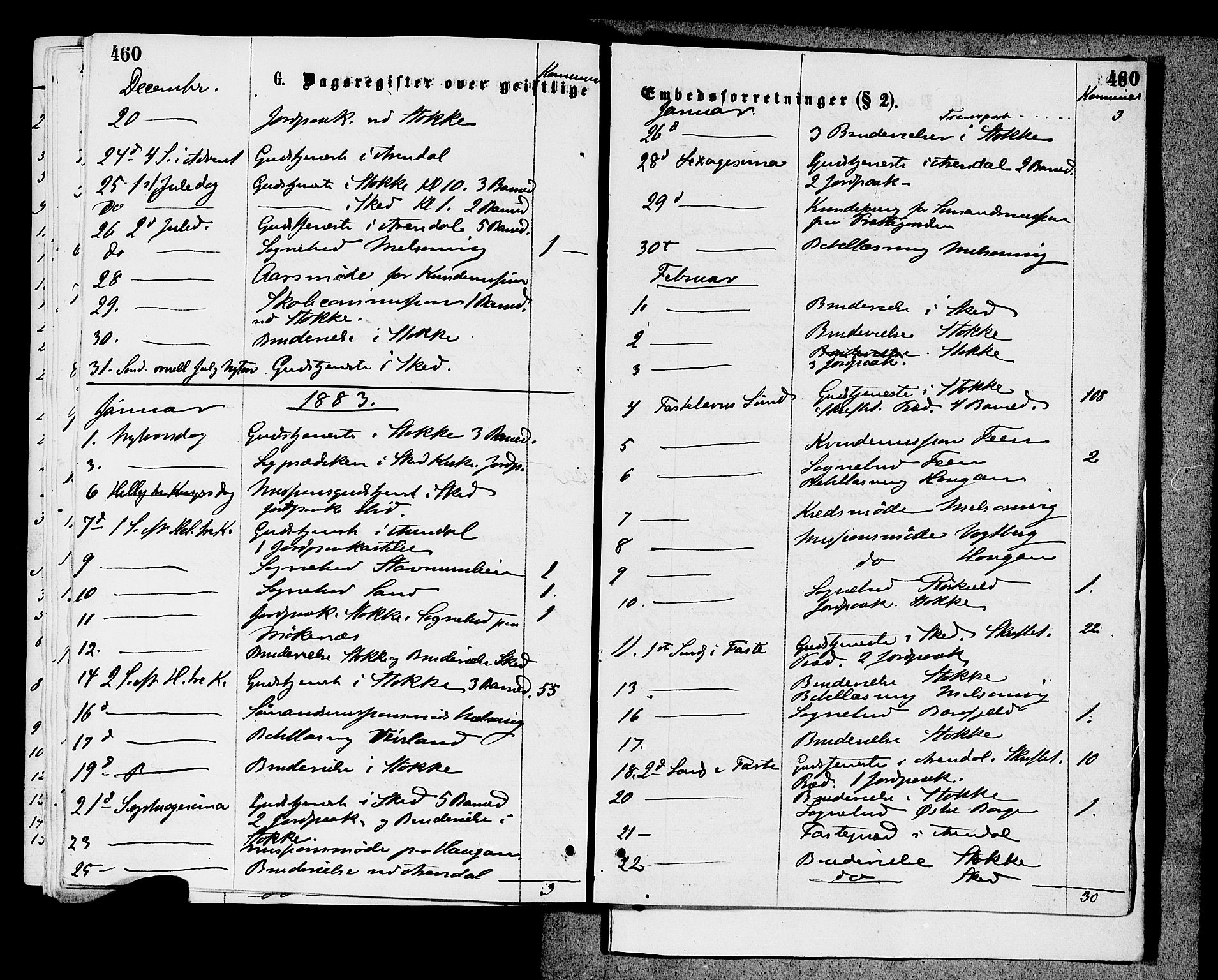 Stokke kirkebøker, SAKO/A-320/F/Fa/L0009: Parish register (official) no. I 9, 1872-1883, p. 460