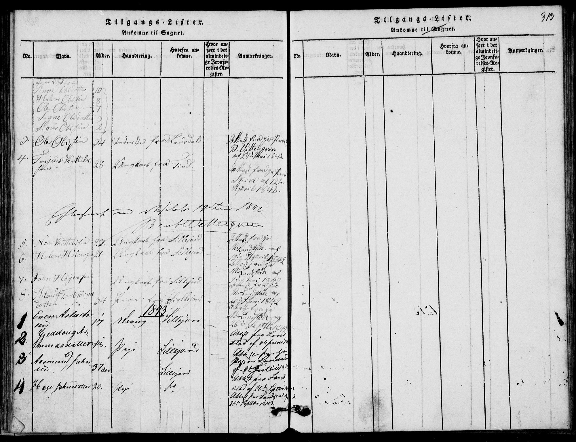 Rauland kirkebøker, SAKO/A-292/G/Ga/L0001: Parish register (copy) no. I 1, 1814-1843, p. 313