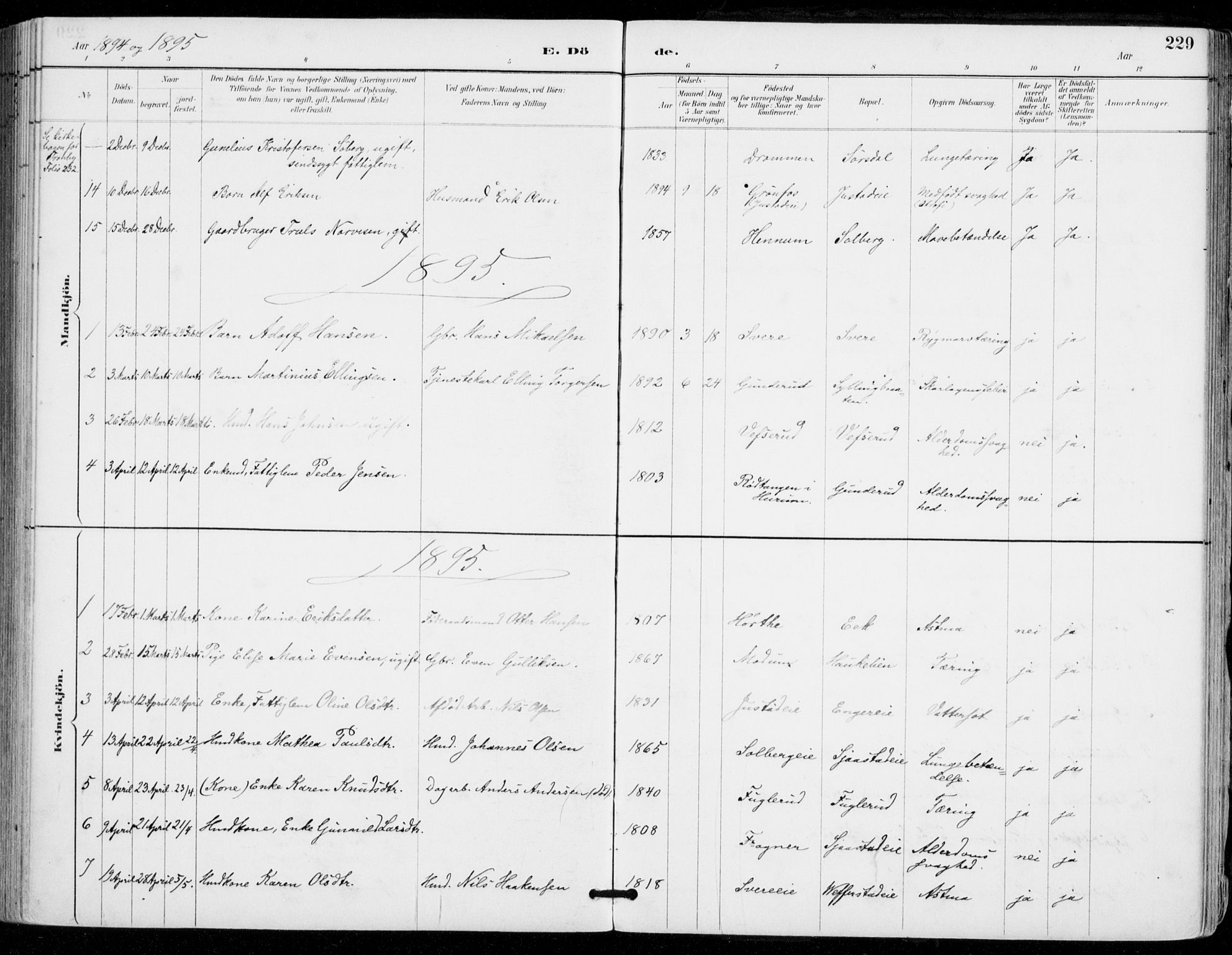 Sylling kirkebøker, AV/SAKO-A-247/F/Fa/L0001: Parish register (official) no. 1, 1883-1910, p. 229