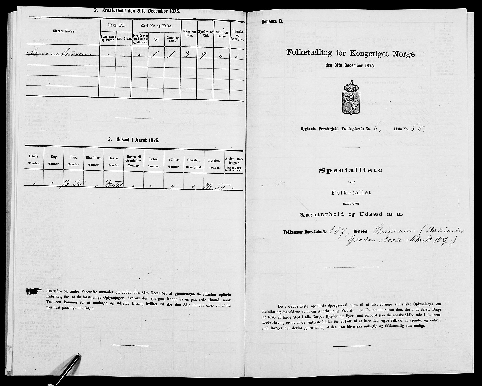 SAK, 1875 census for 0938P Bygland, 1875, p. 585