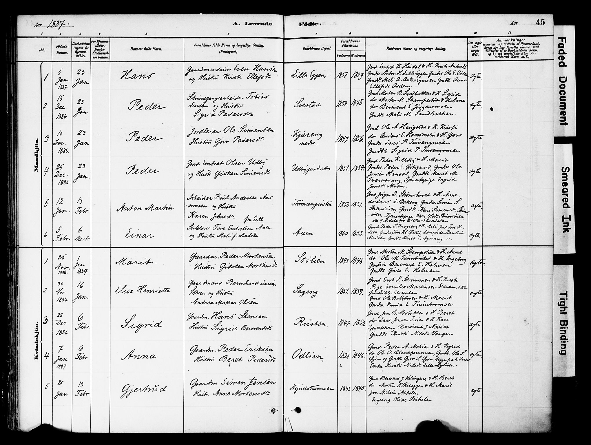 Tynset prestekontor, SAH/PREST-058/H/Ha/Haa/L0022: Parish register (official) no. 22, 1880-1899, p. 45