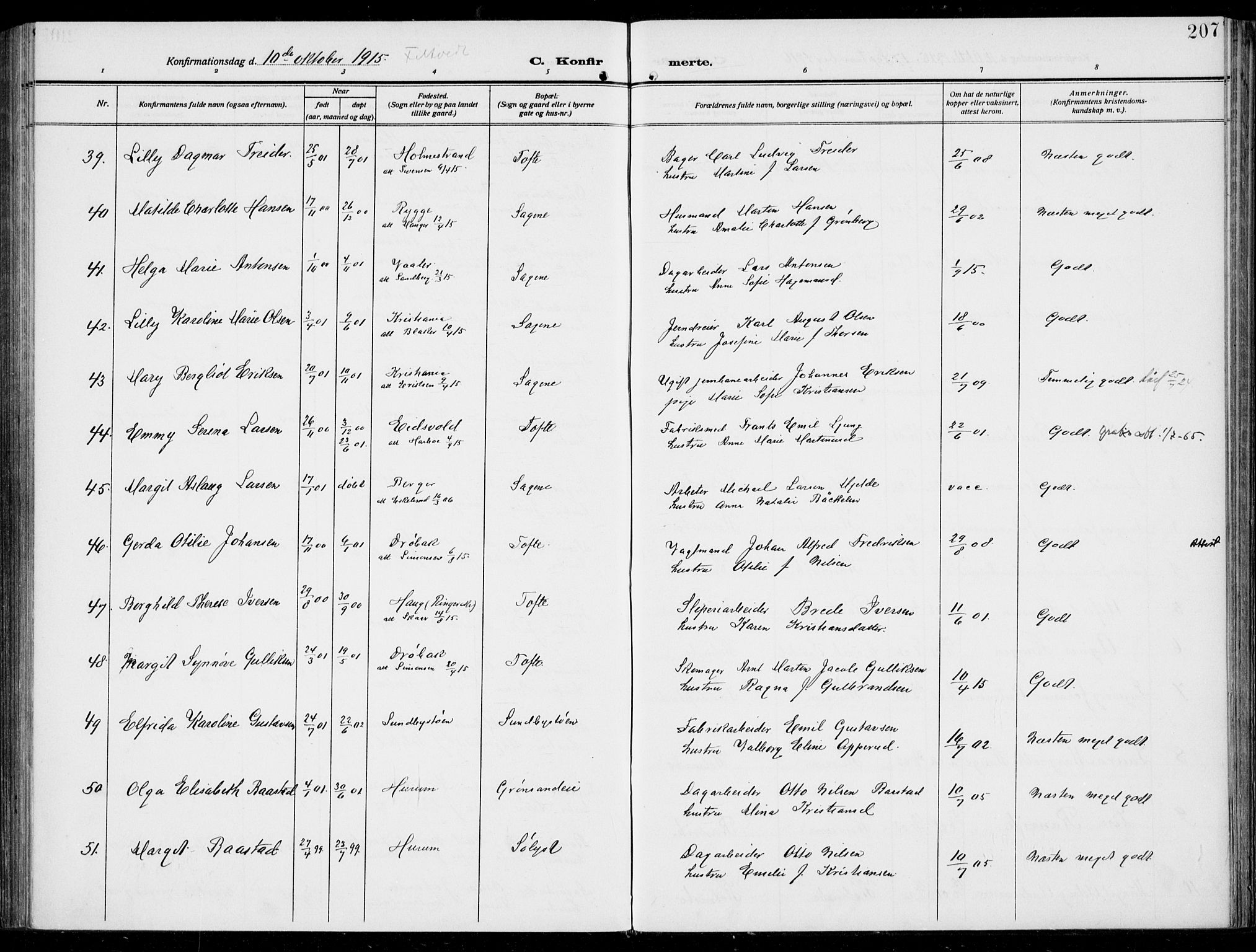 Hurum kirkebøker, AV/SAKO-A-229/F/Fa/L0016: Parish register (official) no. 16, 1899-1918, p. 207