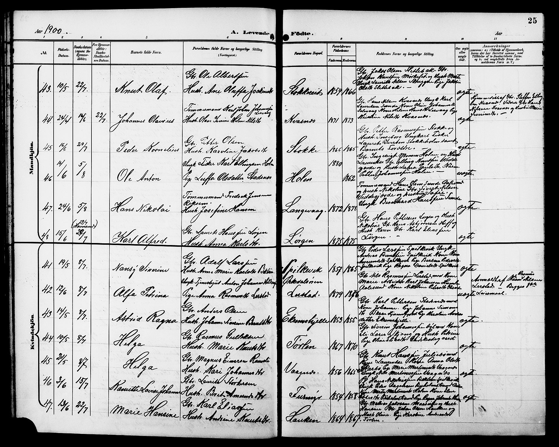 Ministerialprotokoller, klokkerbøker og fødselsregistre - Møre og Romsdal, AV/SAT-A-1454/528/L0432: Parish register (copy) no. 528C13, 1898-1918, p. 25