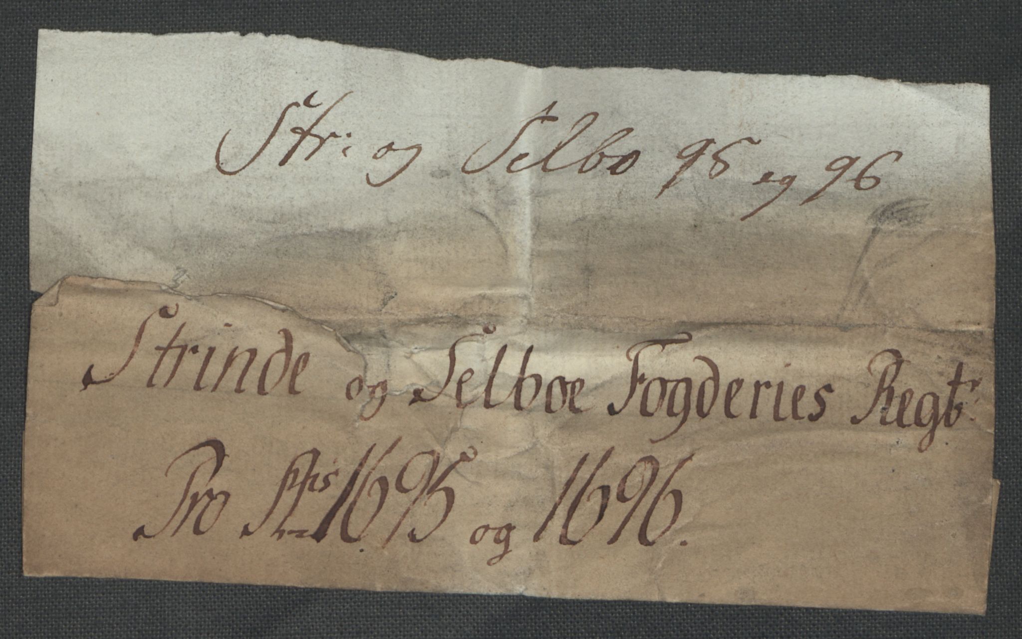 Rentekammeret inntil 1814, Reviderte regnskaper, Fogderegnskap, AV/RA-EA-4092/R61/L4106: Fogderegnskap Strinda og Selbu, 1696-1697, p. 54