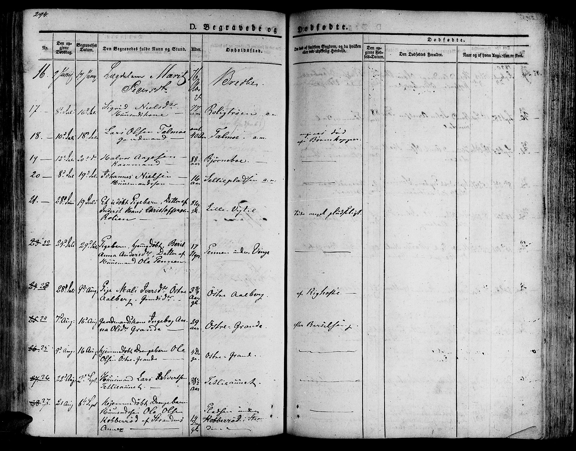 Ministerialprotokoller, klokkerbøker og fødselsregistre - Nord-Trøndelag, SAT/A-1458/701/L0006: Parish register (official) no. 701A06, 1825-1841, p. 294