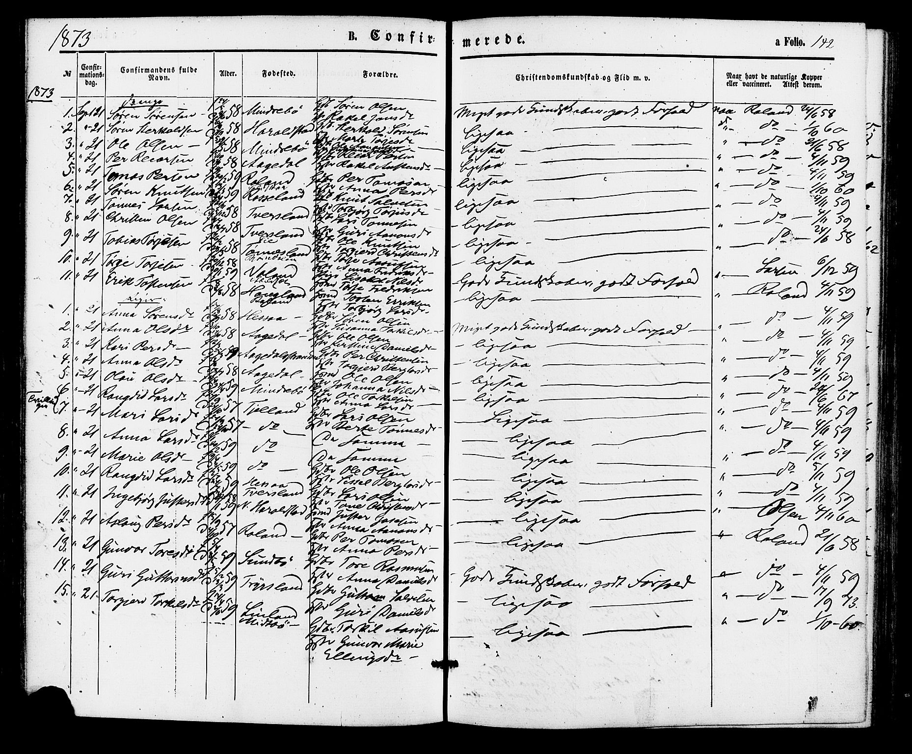Bjelland sokneprestkontor, SAK/1111-0005/F/Fa/Faa/L0003: Parish register (official) no. A 3, 1867-1887, p. 142