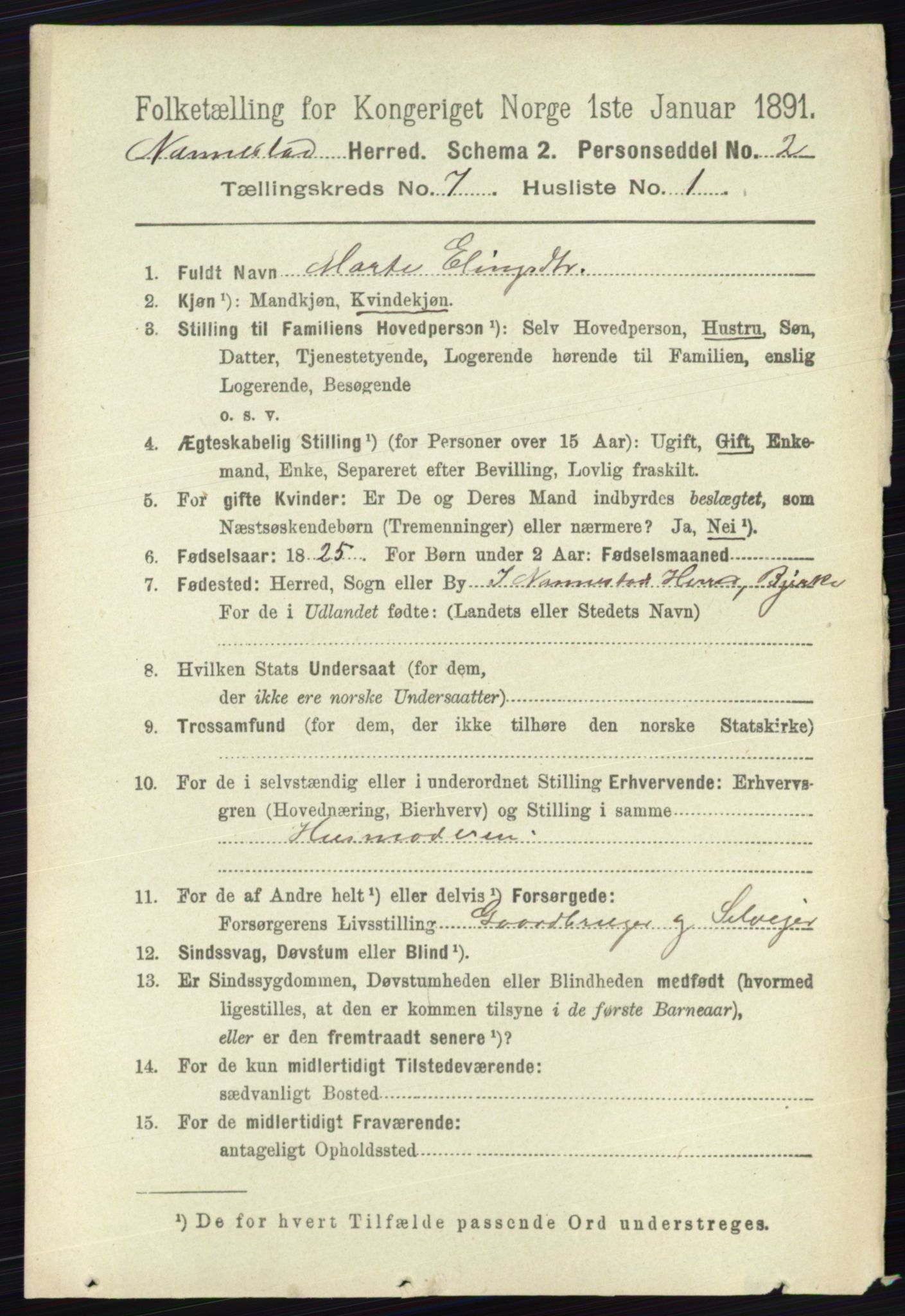 RA, 1891 census for 0238 Nannestad, 1891, p. 3742