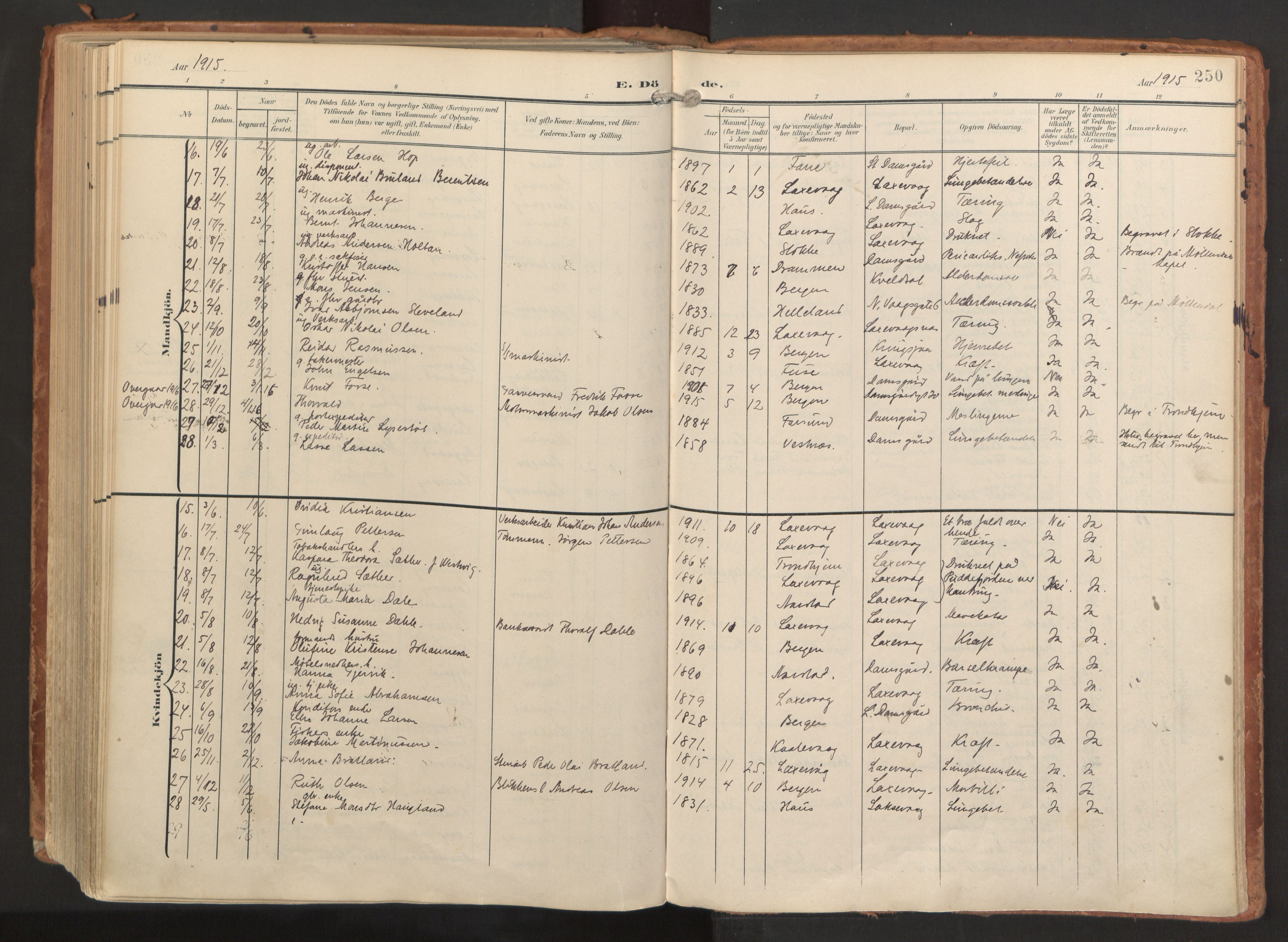 Laksevåg Sokneprestembete, AV/SAB-A-76501/H/Ha/Haa/Haaa/L0001: Parish register (official) no. A 1, 1903-1917, p. 250