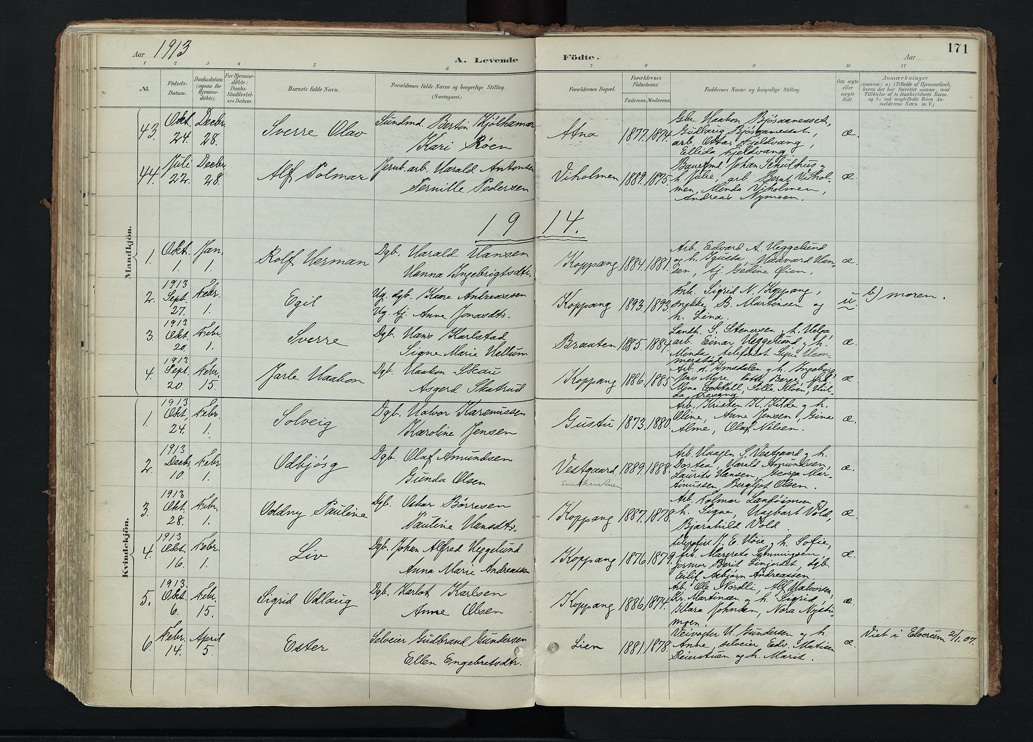 Stor-Elvdal prestekontor, SAH/PREST-052/H/Ha/Haa/L0004: Parish register (official) no. 4, 1890-1922, p. 171