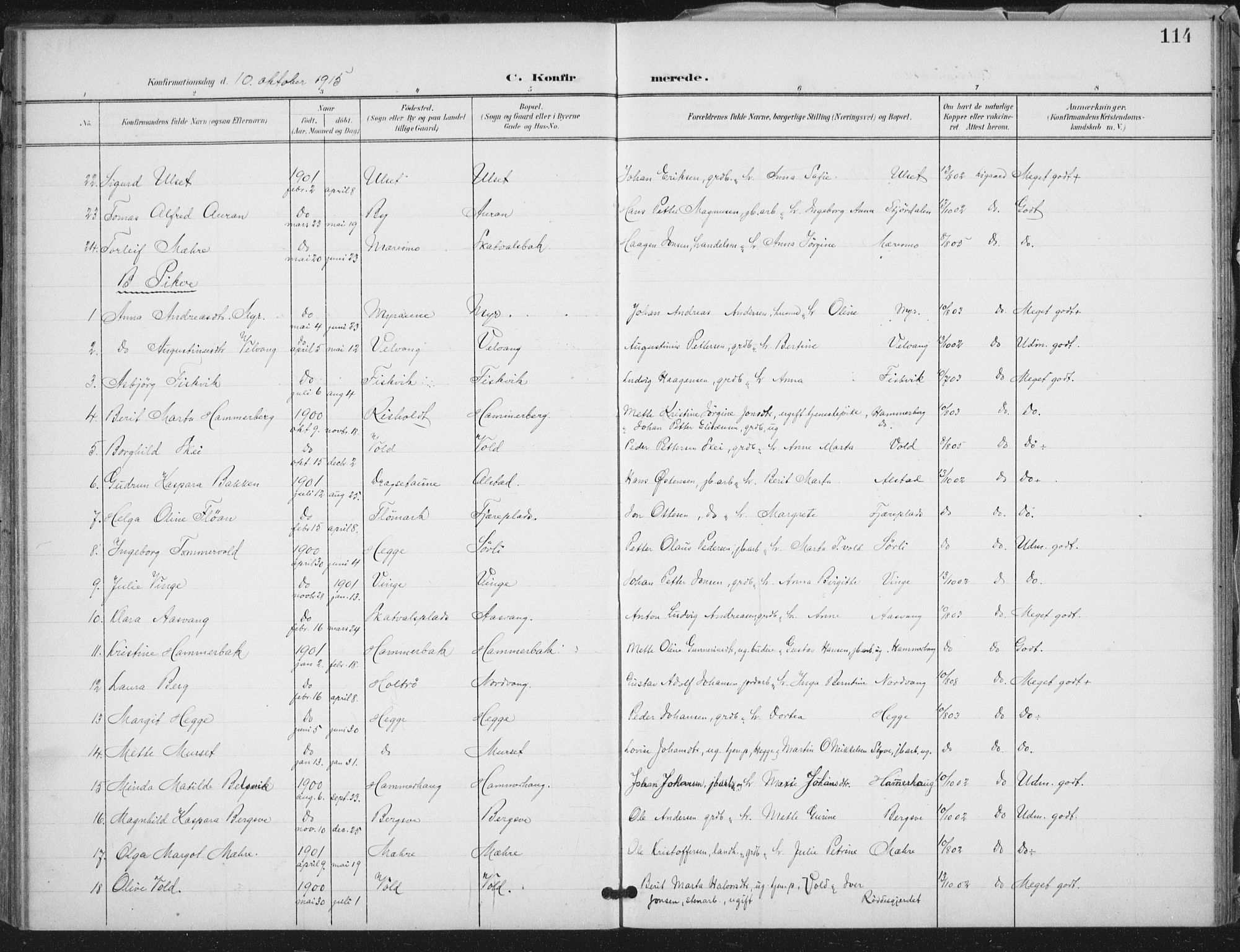 Ministerialprotokoller, klokkerbøker og fødselsregistre - Nord-Trøndelag, AV/SAT-A-1458/712/L0101: Parish register (official) no. 712A02, 1901-1916, p. 114