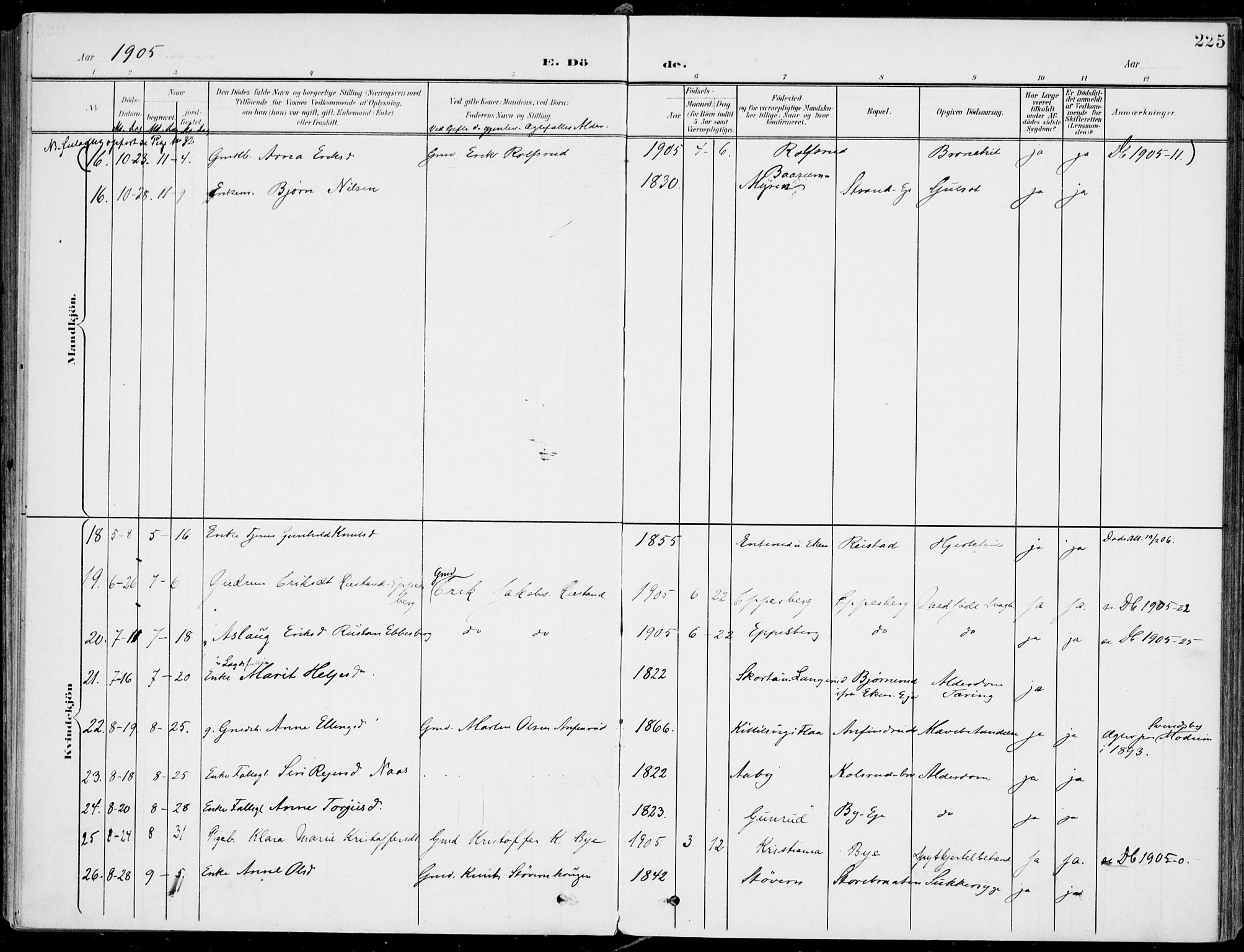 Sigdal kirkebøker, AV/SAKO-A-245/F/Fb/L0002: Parish register (official) no. II 2, 1901-1914, p. 225