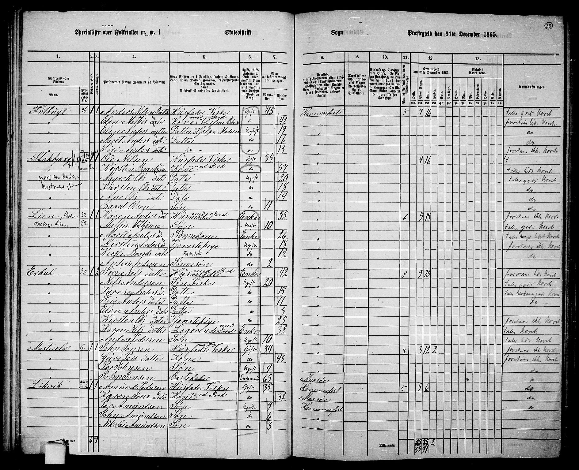 RA, 1865 census for Hammerfest/Hammerfest, 1865, p. 19