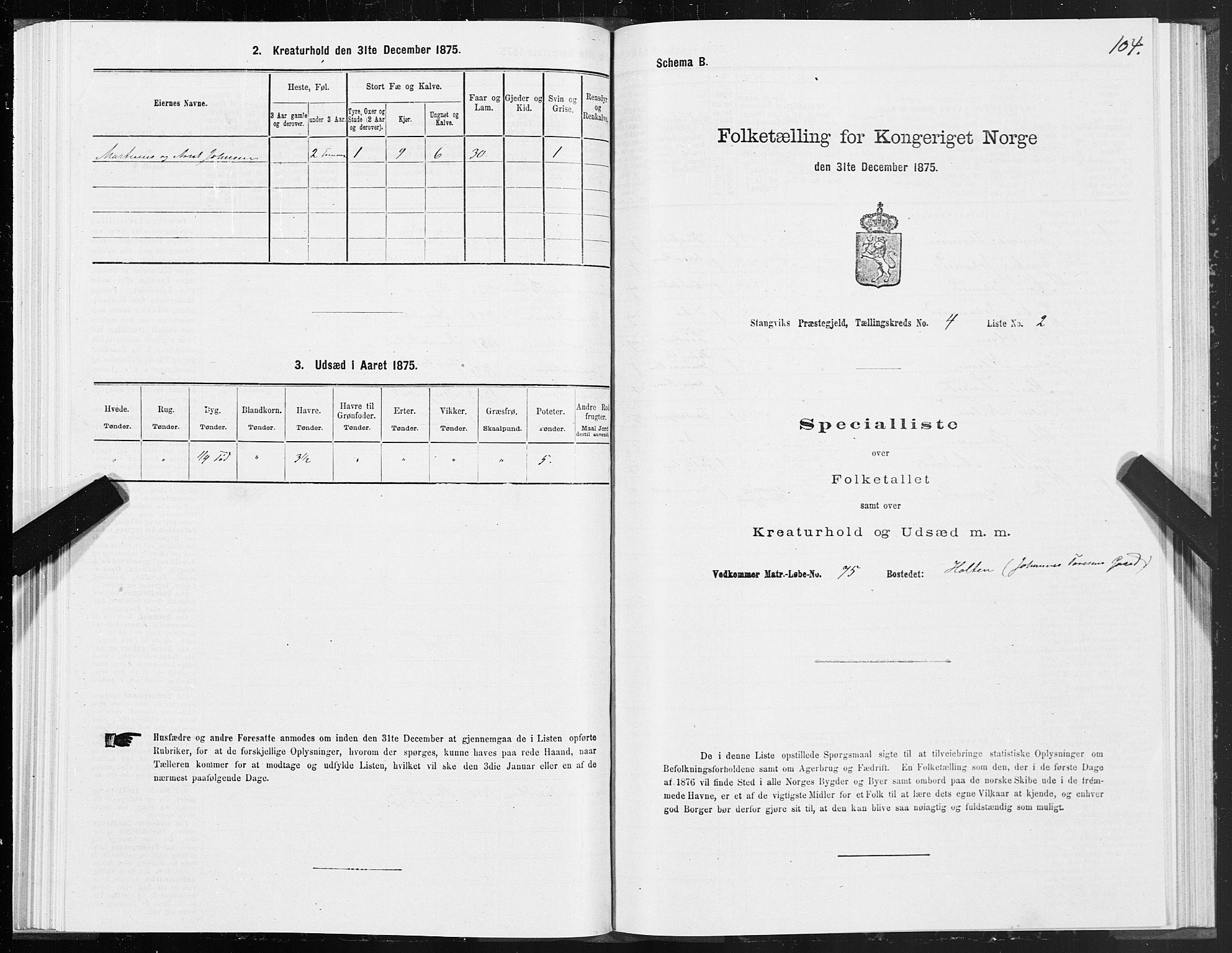 SAT, 1875 census for 1564P Stangvik, 1875, p. 2104