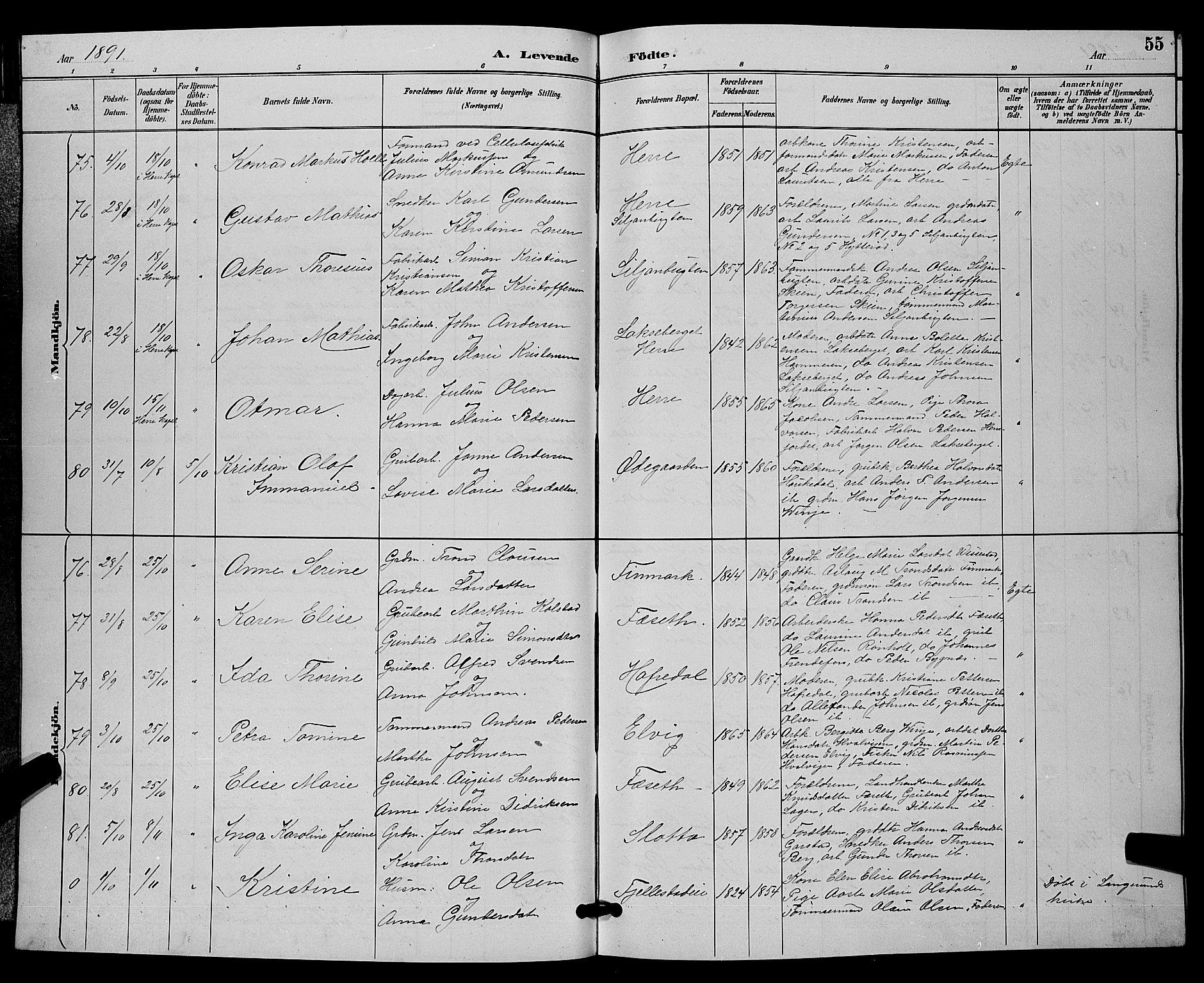 Bamble kirkebøker, AV/SAKO-A-253/G/Ga/L0009: Parish register (copy) no. I 9, 1888-1900, p. 55