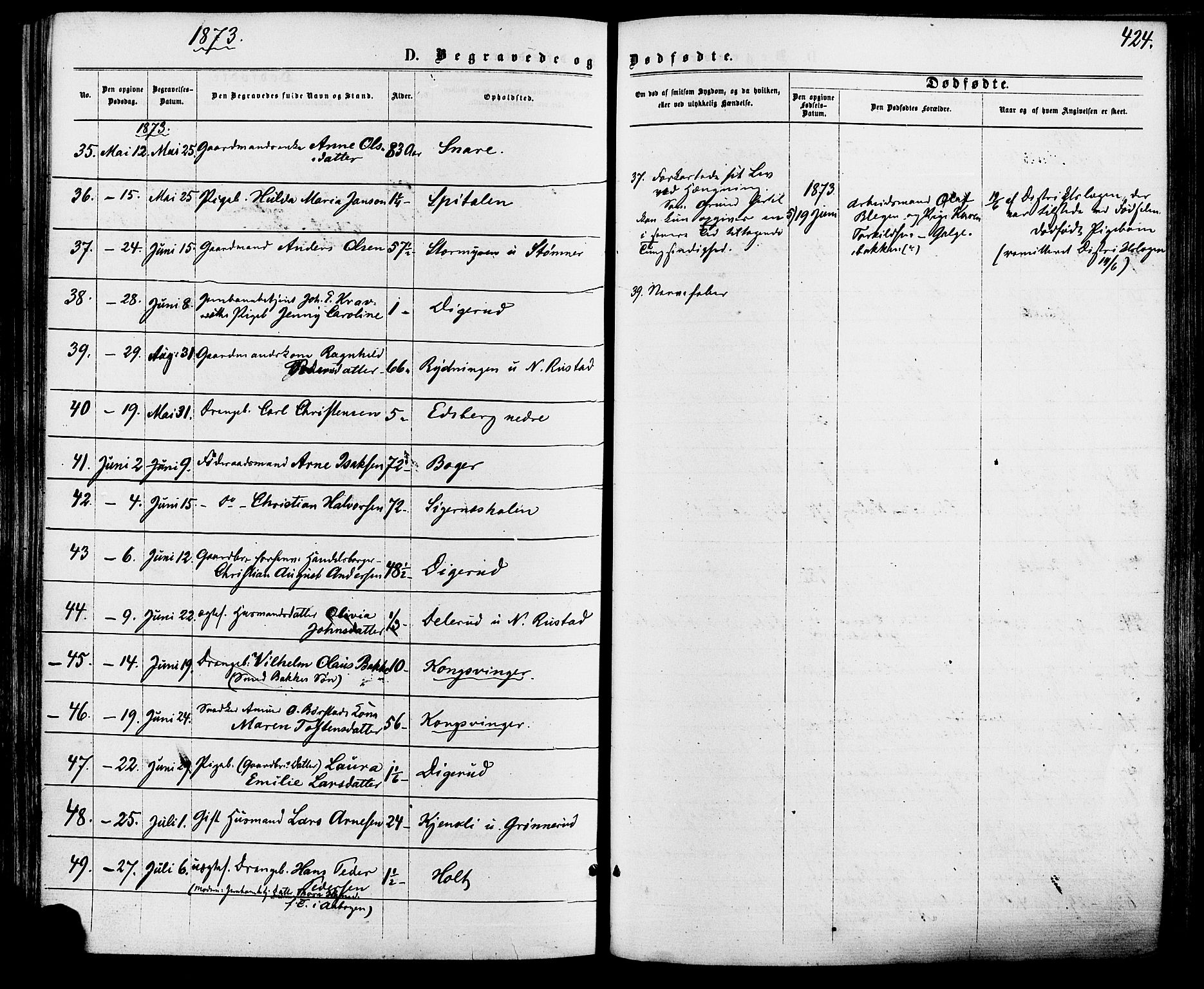 Vinger prestekontor, AV/SAH-PREST-024/H/Ha/Haa/L0012: Parish register (official) no. 12, 1871-1880, p. 424